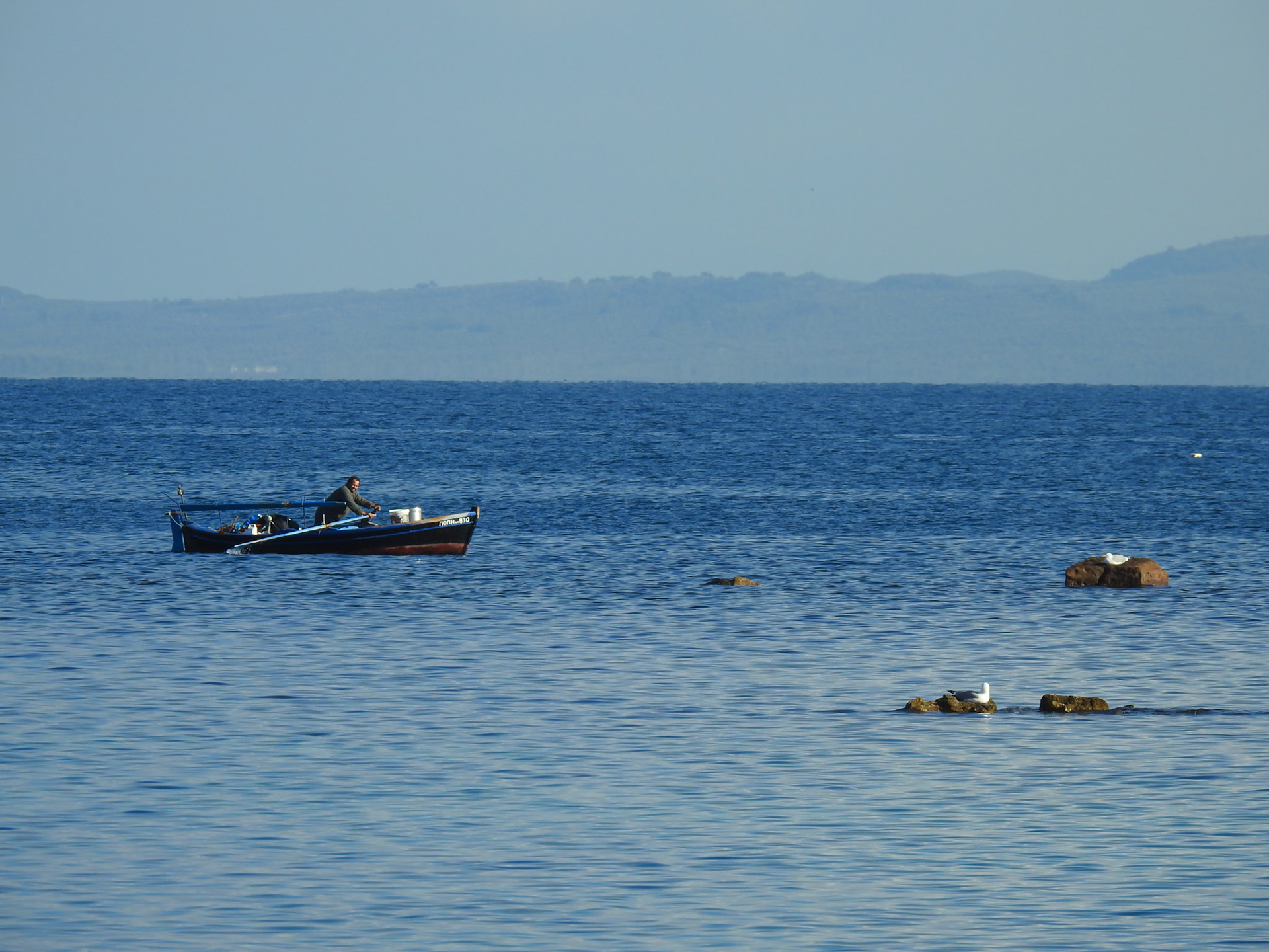 Taken with my Nikon Coolpix P900