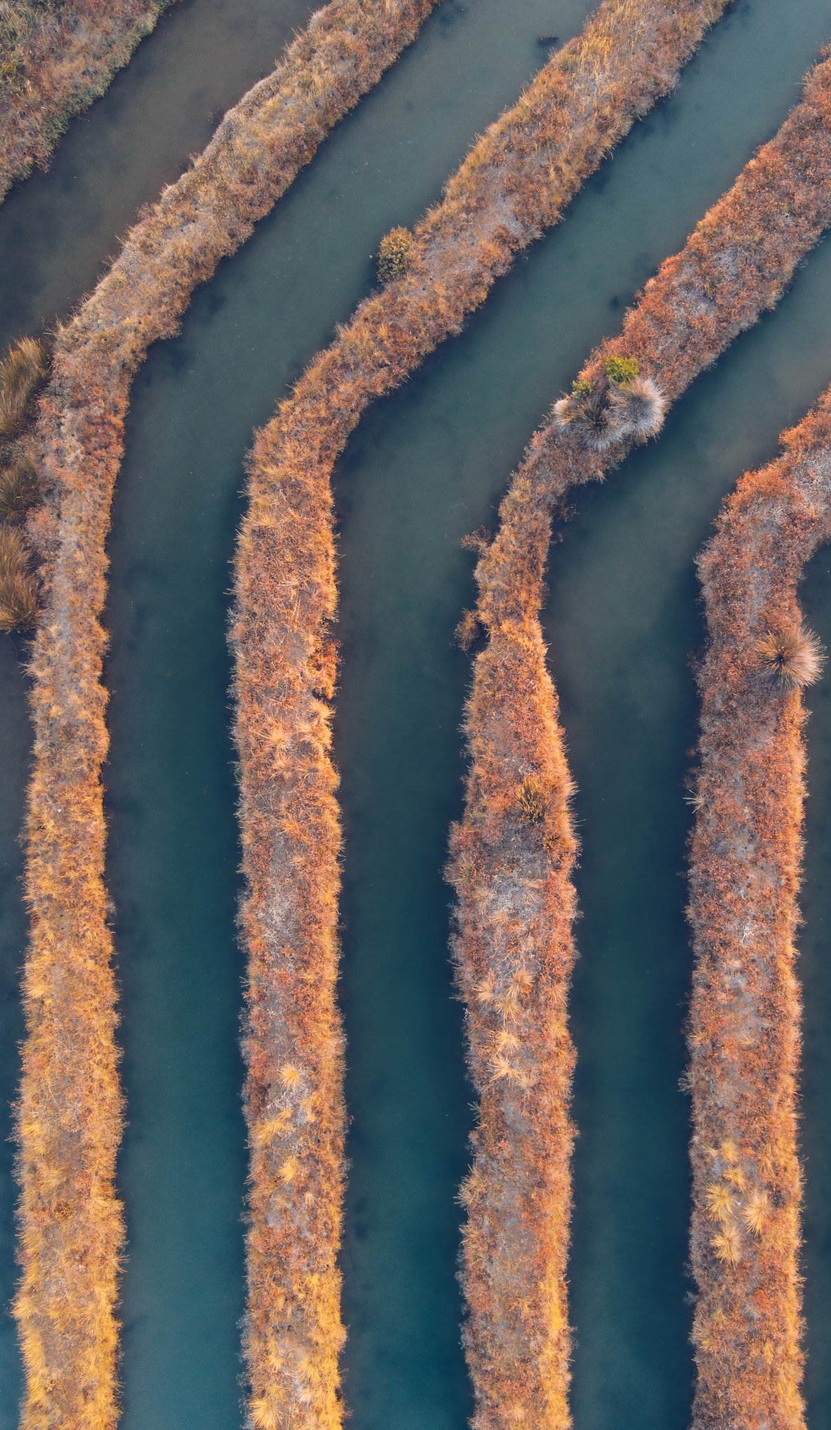 Talen with my DJI Mavic Air 2