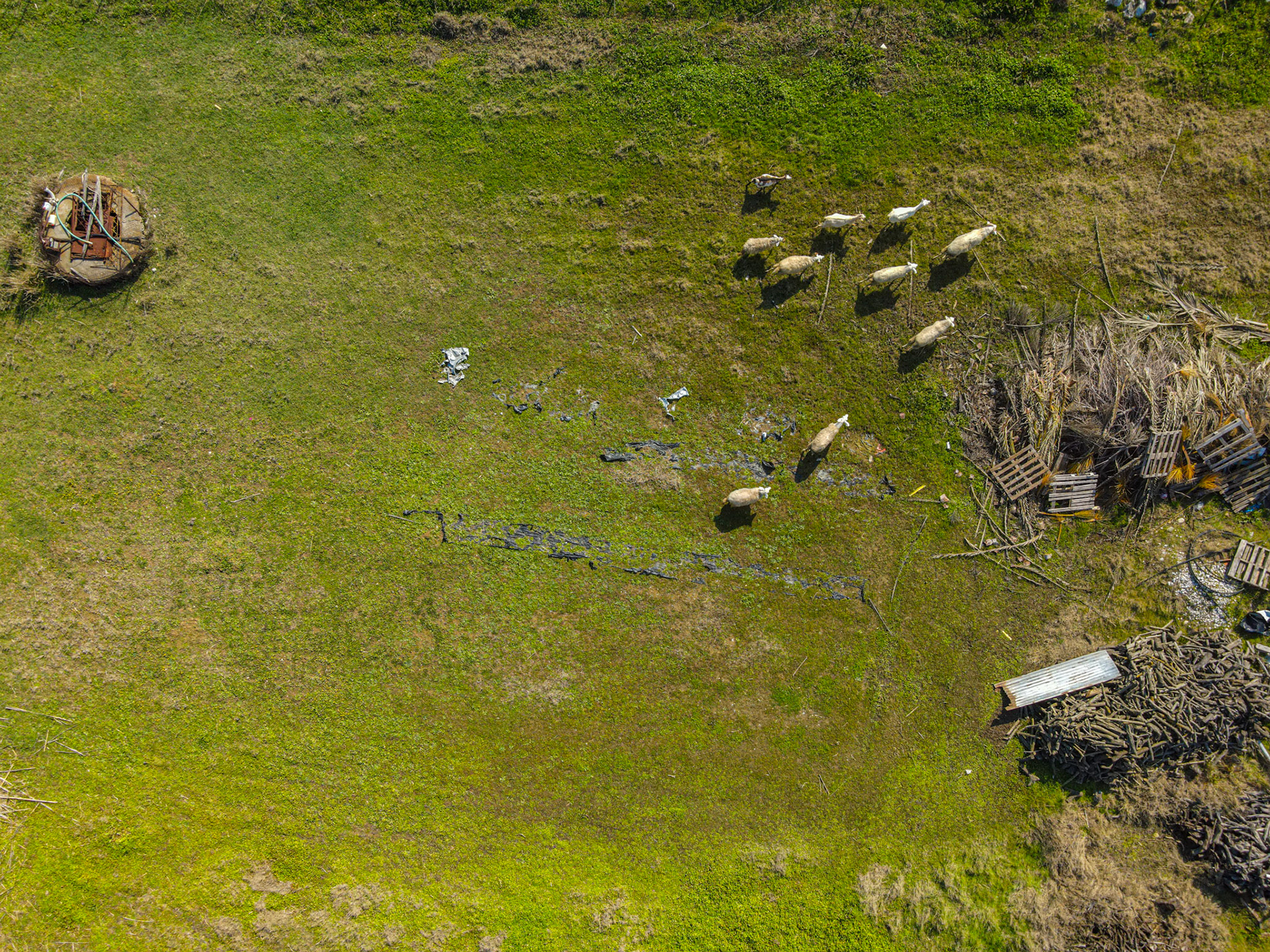 Taken with my DJI Mavic Air 2