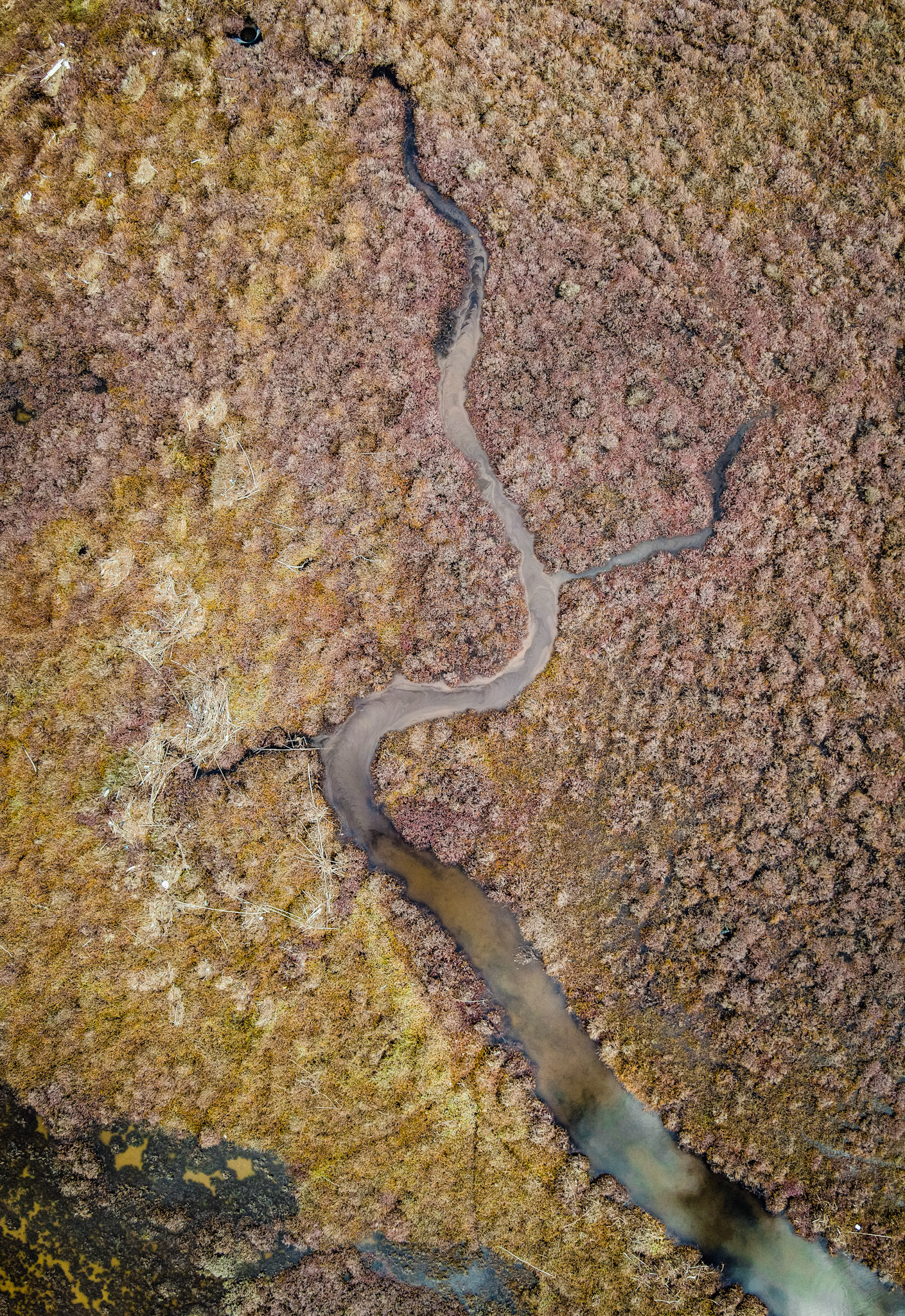 Taken with my DJI Mavic Air 2