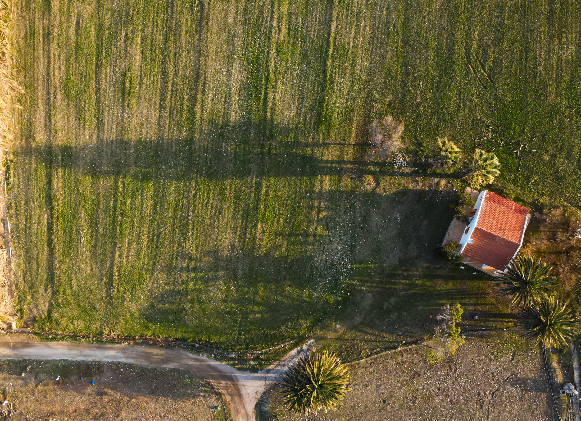 Taken with my DJI Mavic Air 2