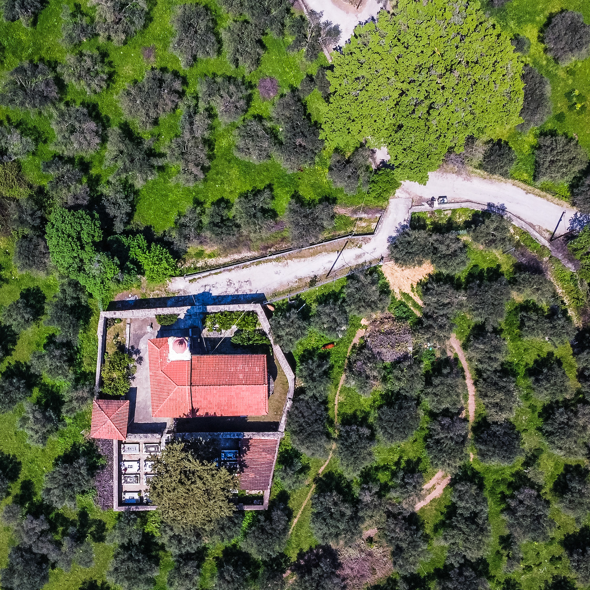 Taken with DJI Mavic Mini