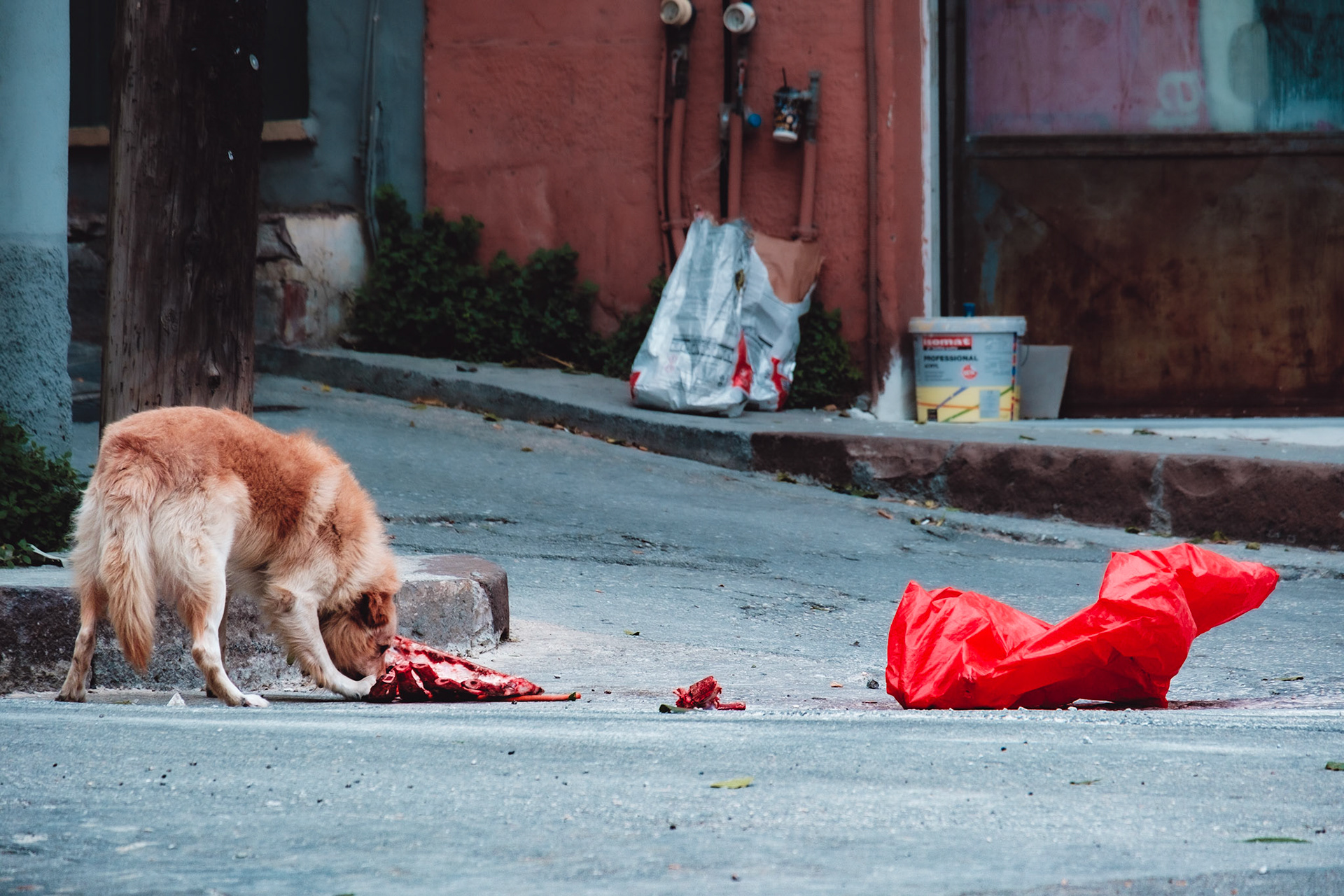 Taken with my Fujifilm X-T30 using the Fujinon XC 50-230mm F4.5-6.7 OIS II