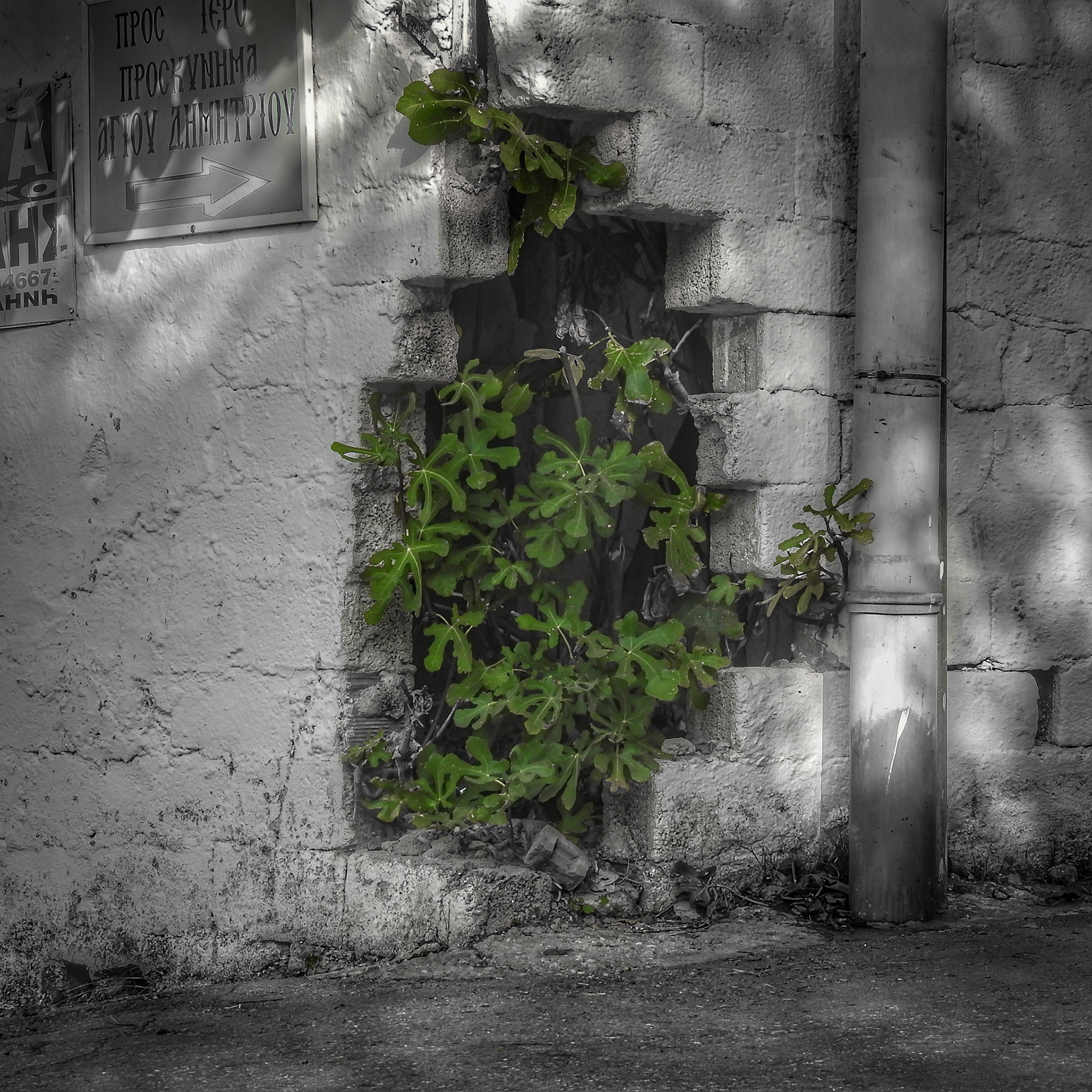 Taken with my Nikon Coolpix P900