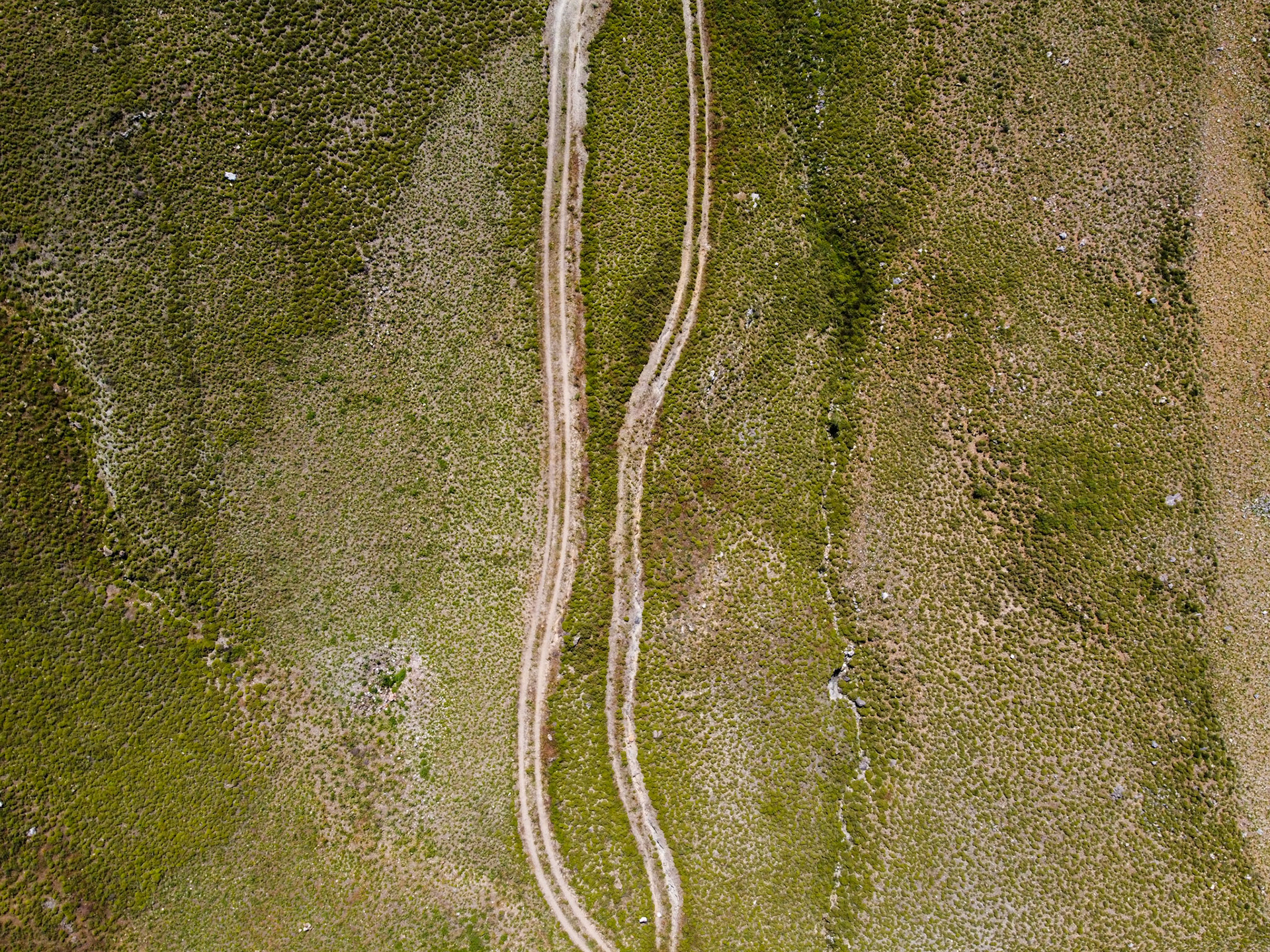 Taken with DJI Mavic Mini