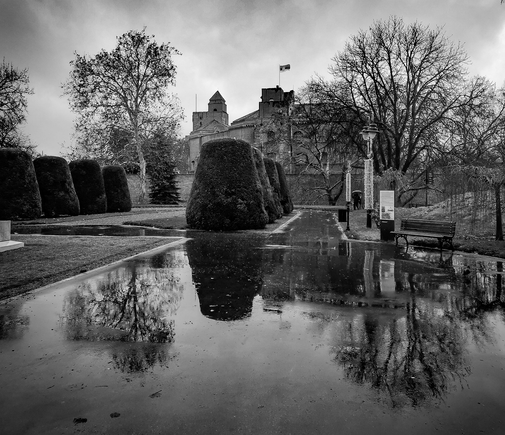 Taken with my Honor View 20