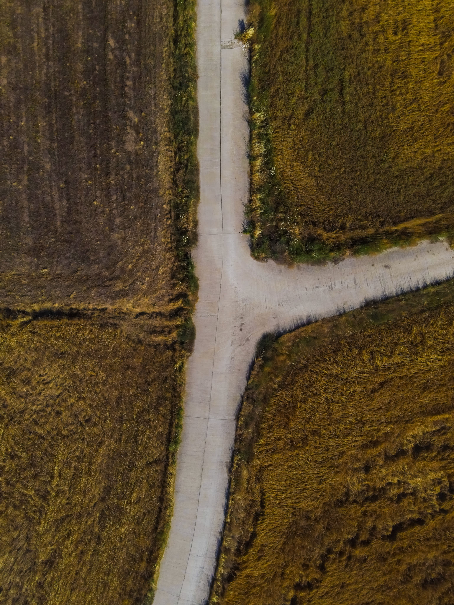 Taken with my DJI Mavic Air 2