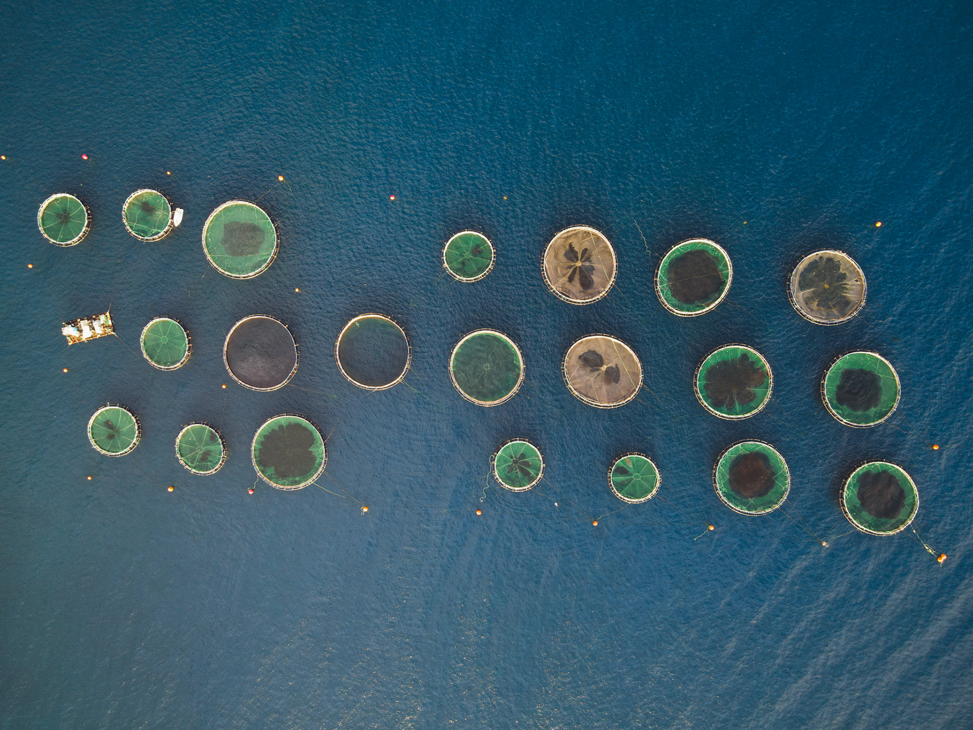 Taken with my DJI Mavic Air 2