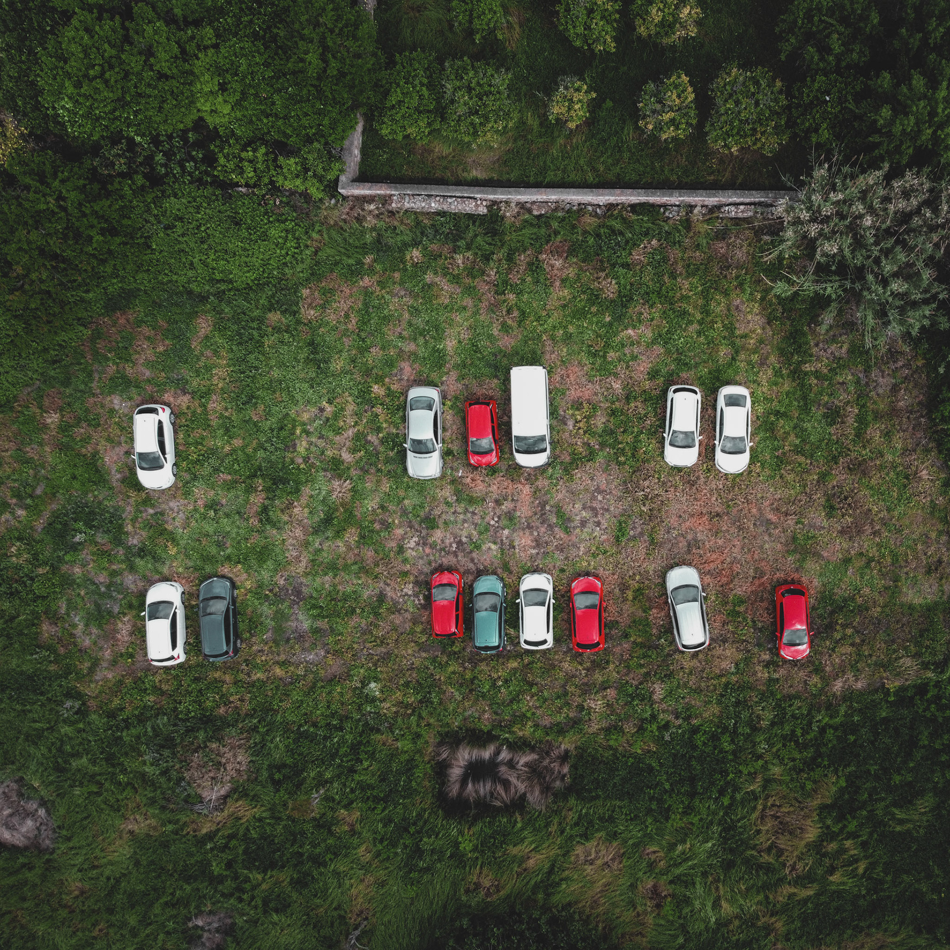 Taken with DJI Mavic Mini