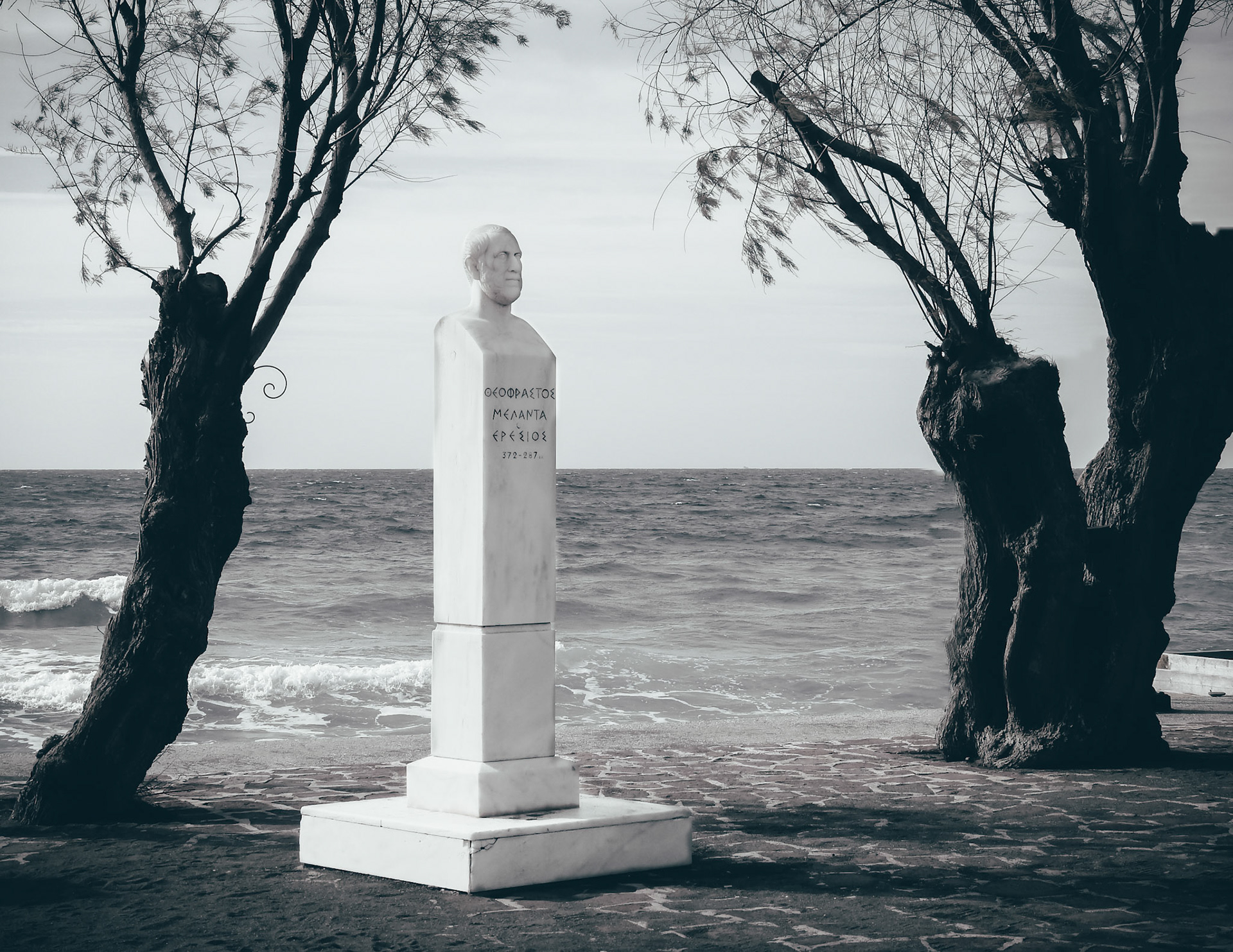 Taken with my Nikon Coolpix P900