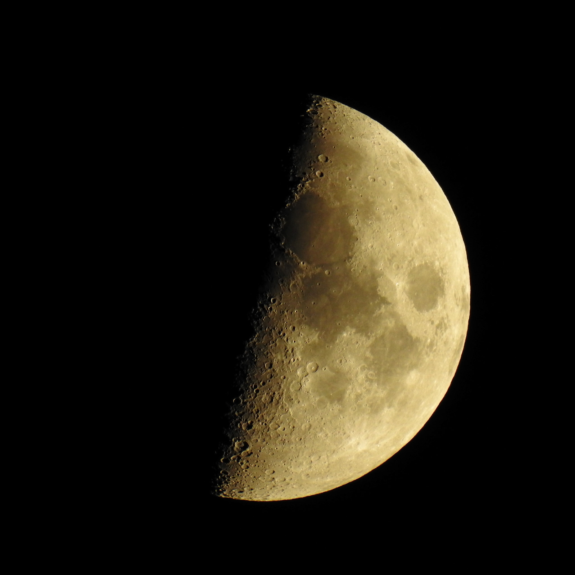 Taken with my Nikon Coolpix P900