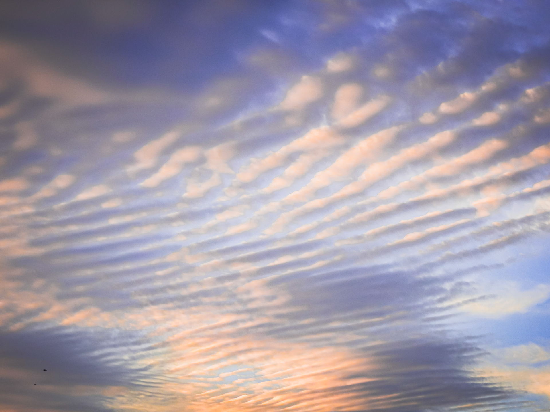 Taken with my Nikon Coolpix P900