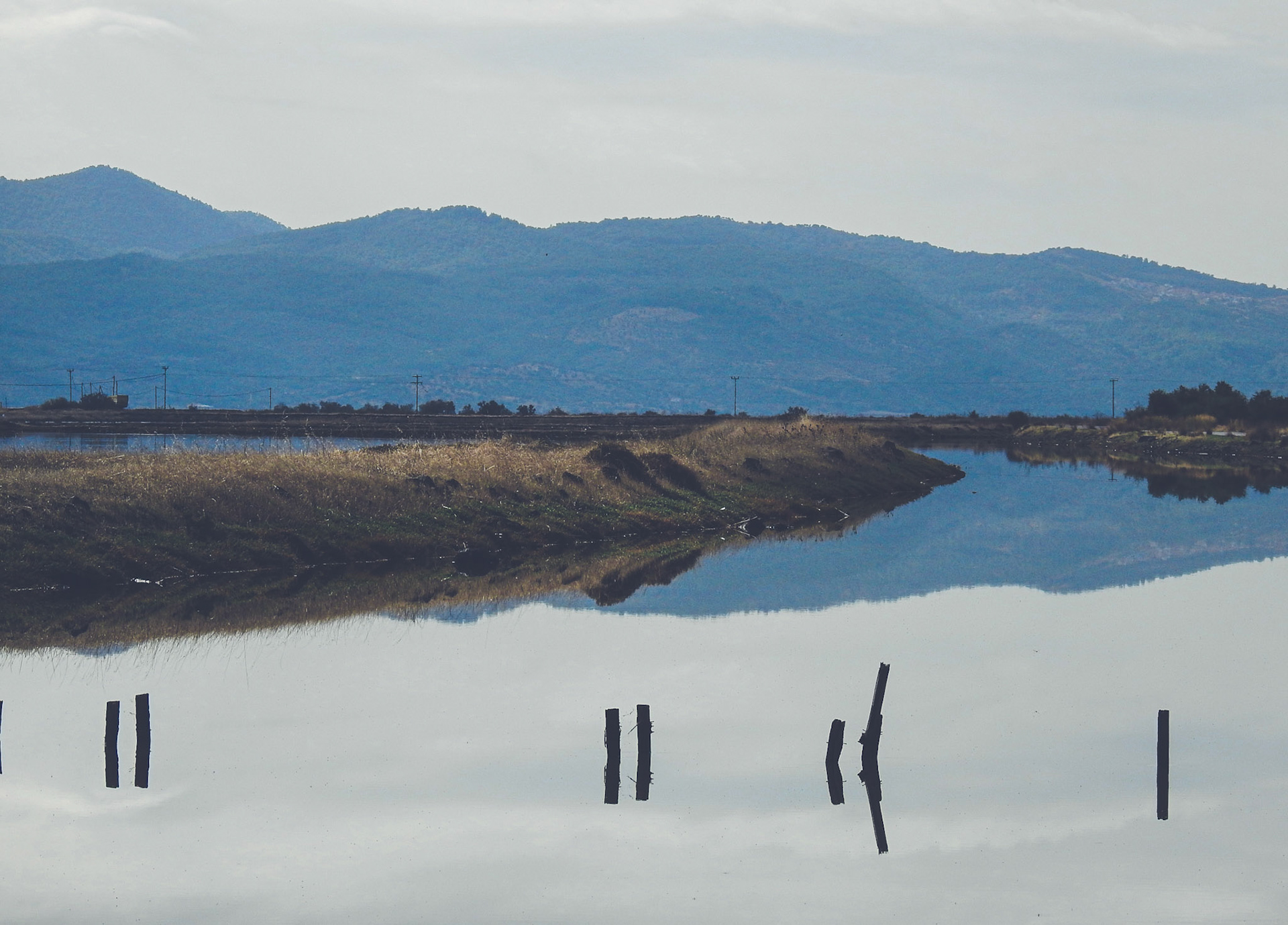 Taken with my Nikon Coolpix P900