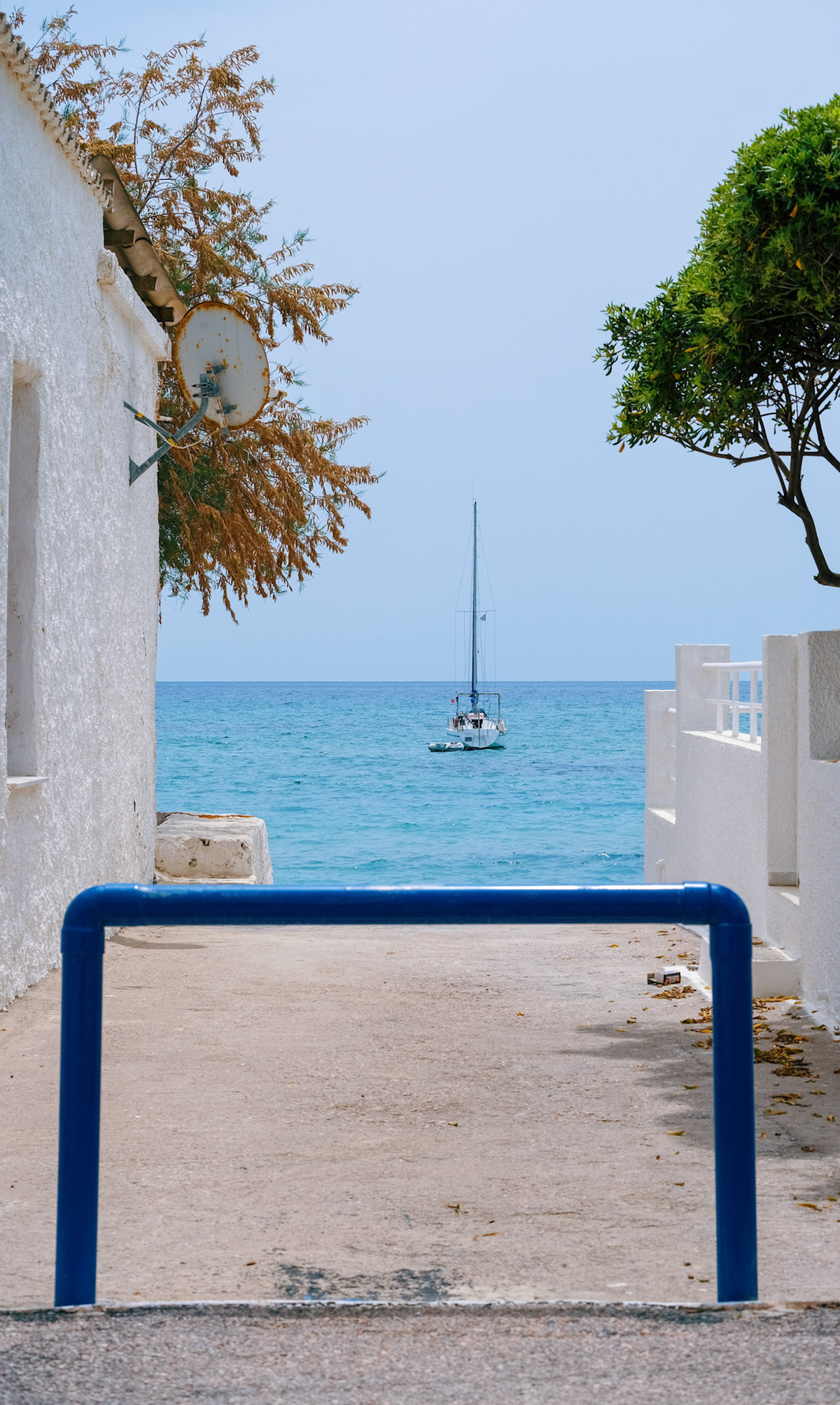 Processed with VSCO with l4 preset