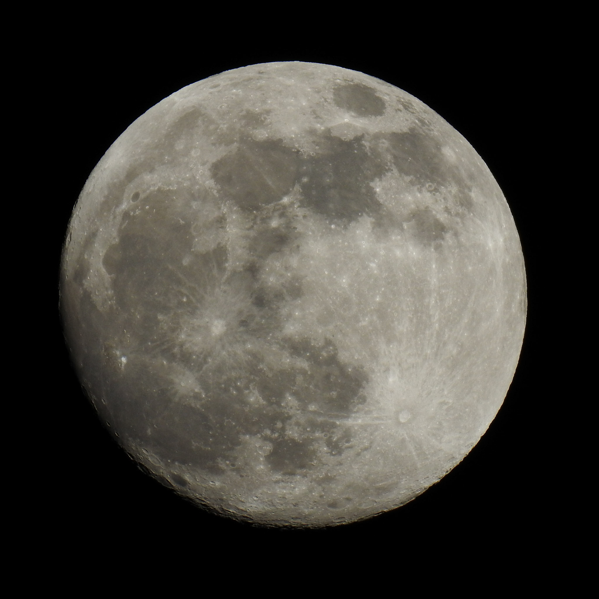 Taken with my Nikon Coolpix P900