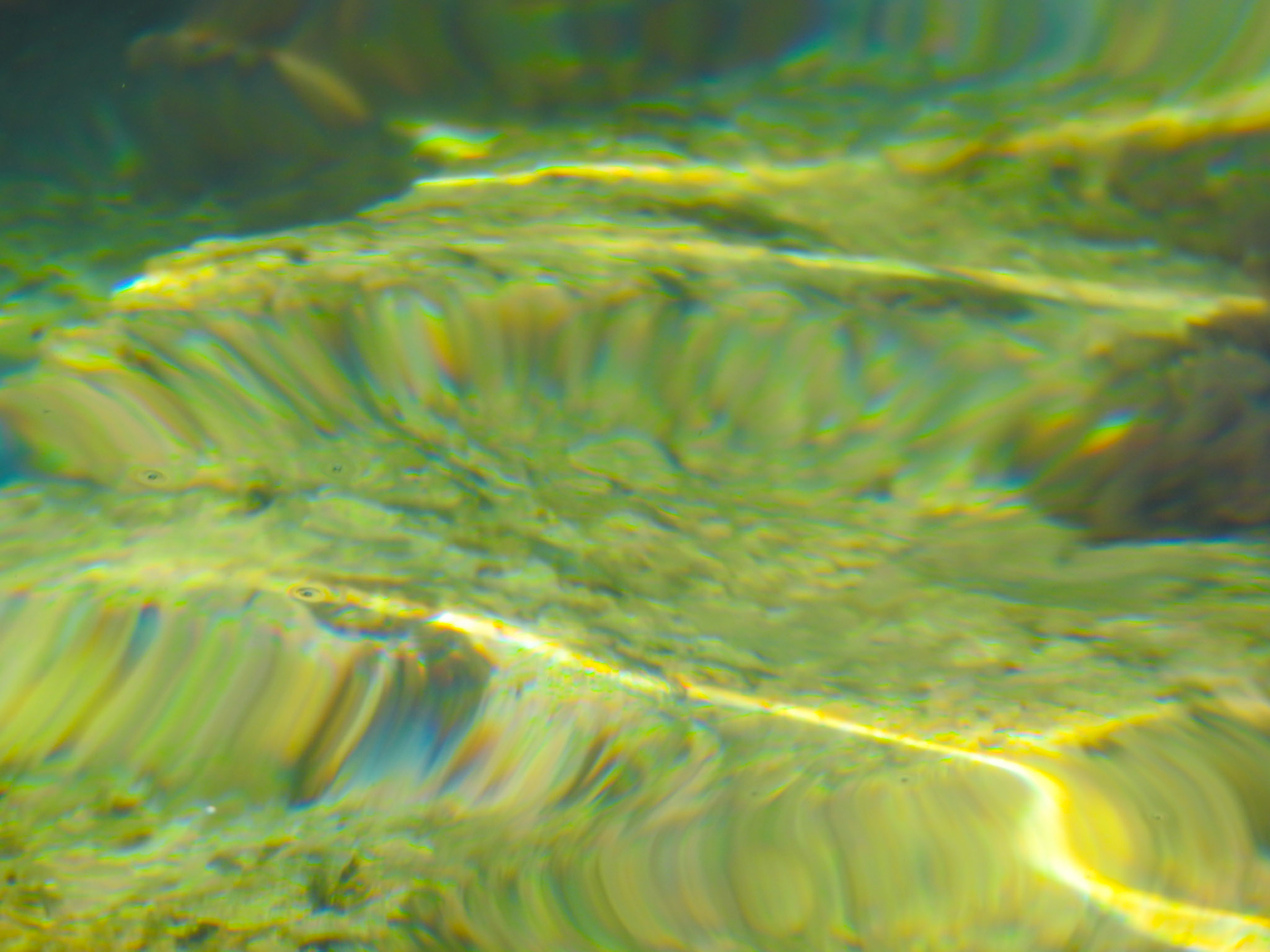 Taken with my Nikon Coolpix P900