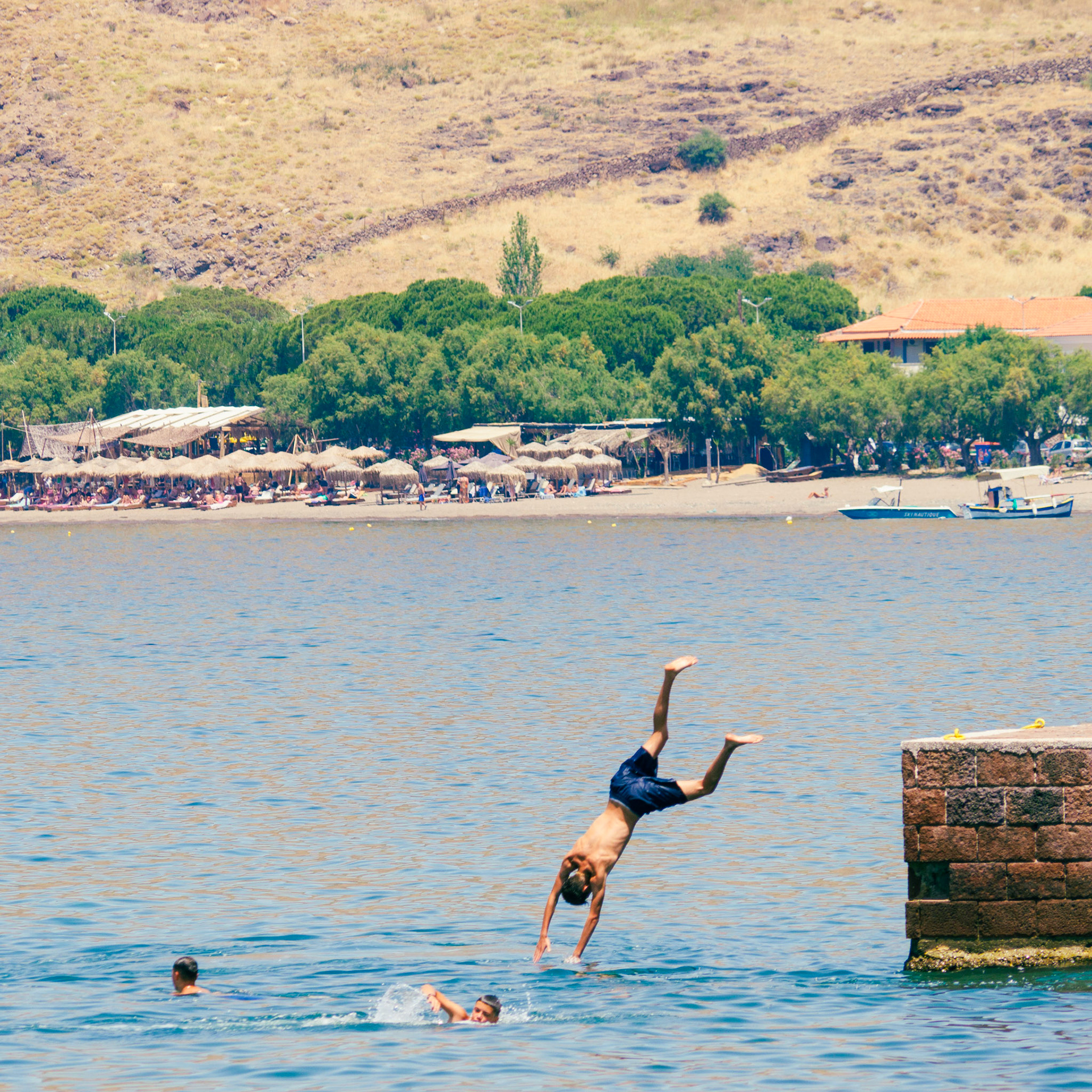 OLYMPUS DIGITAL CAMERA