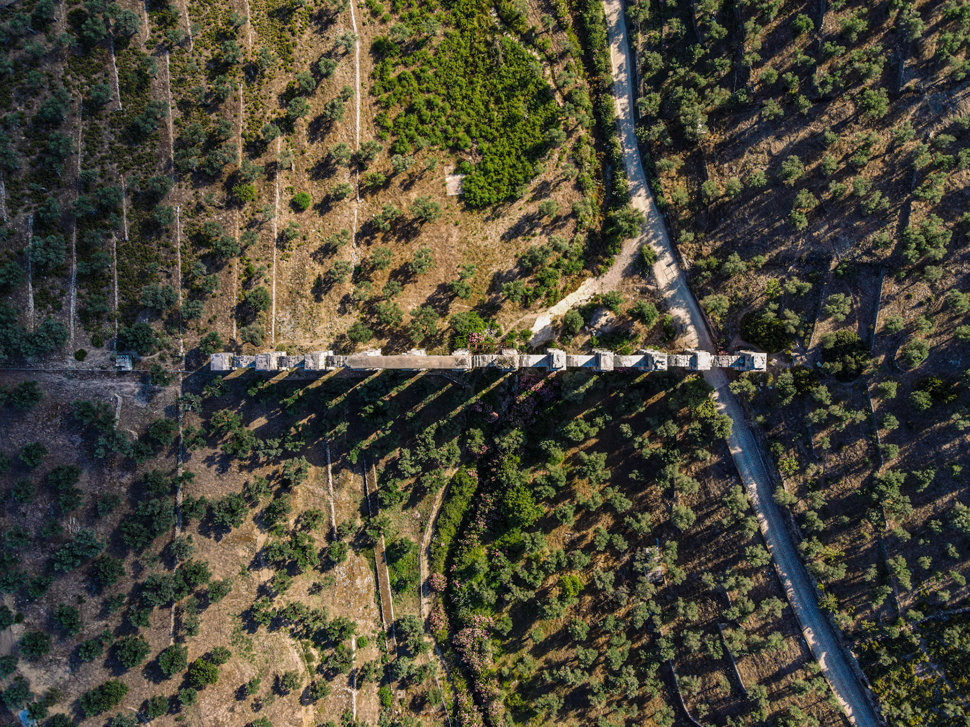 Taken with my DJI Mavic Air 2