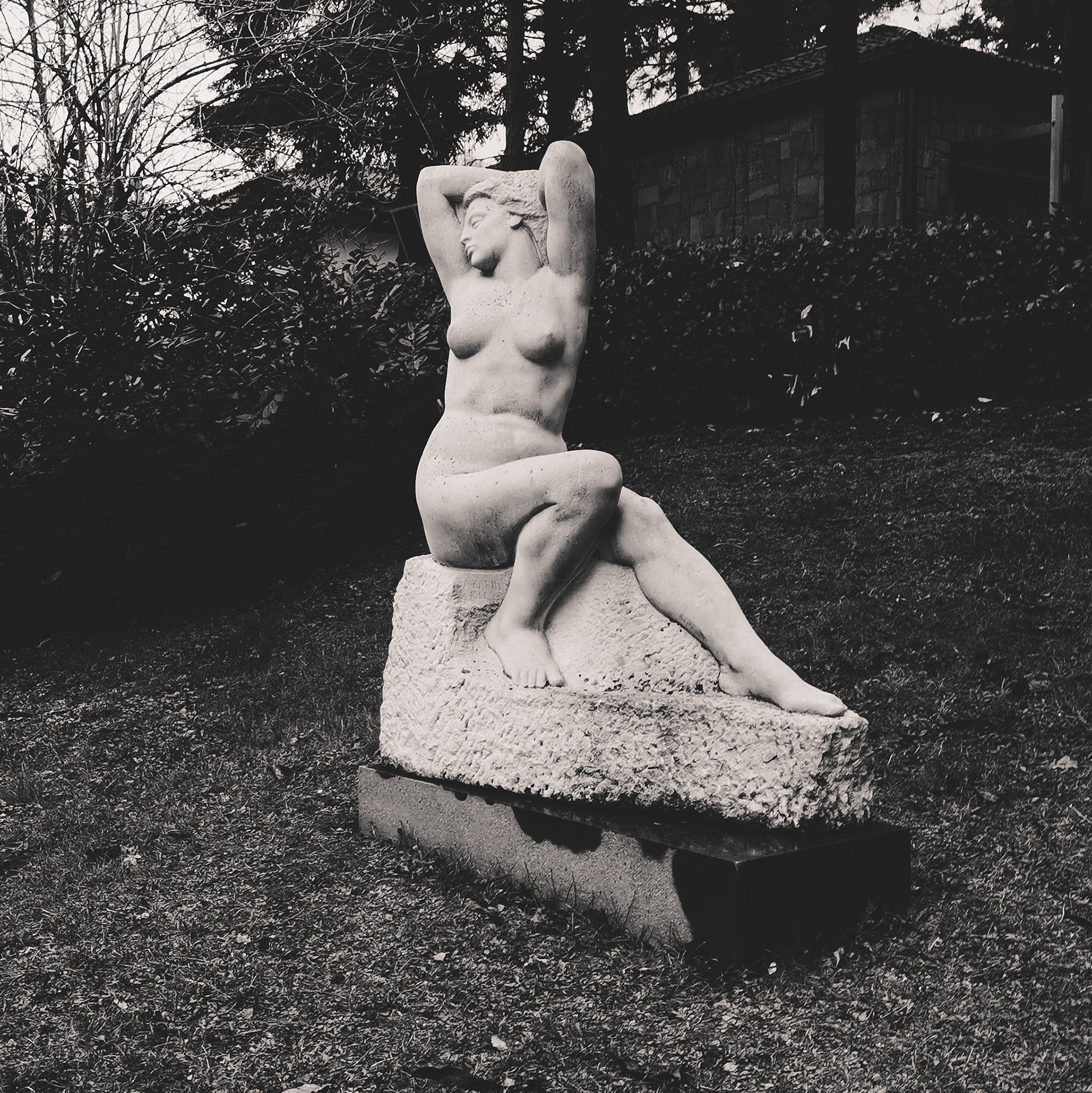 Taken with my Honor View 20