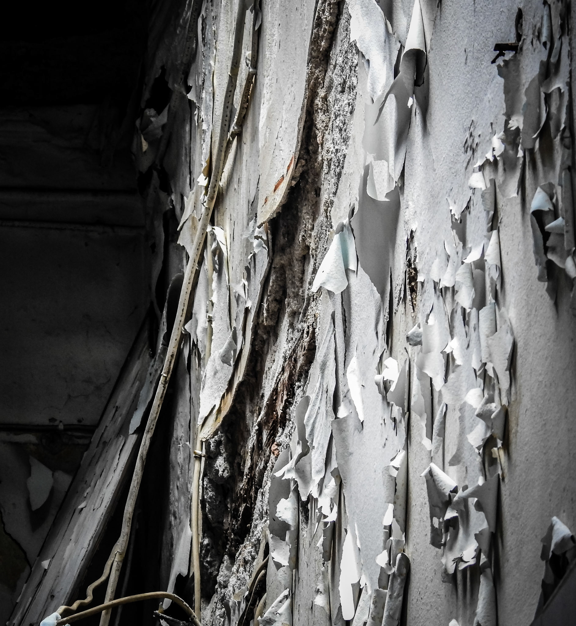 Taken with my Nikon Coolpix P900