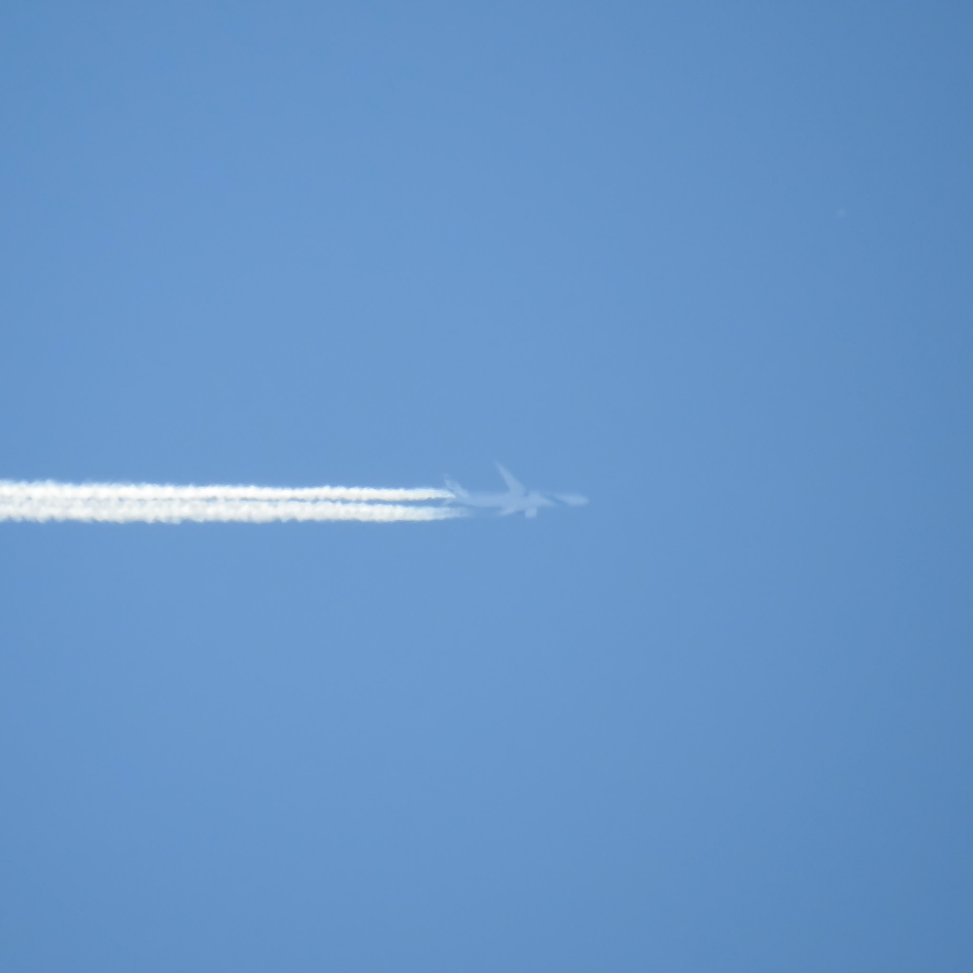 Taken with my Nikon Coolpix P900