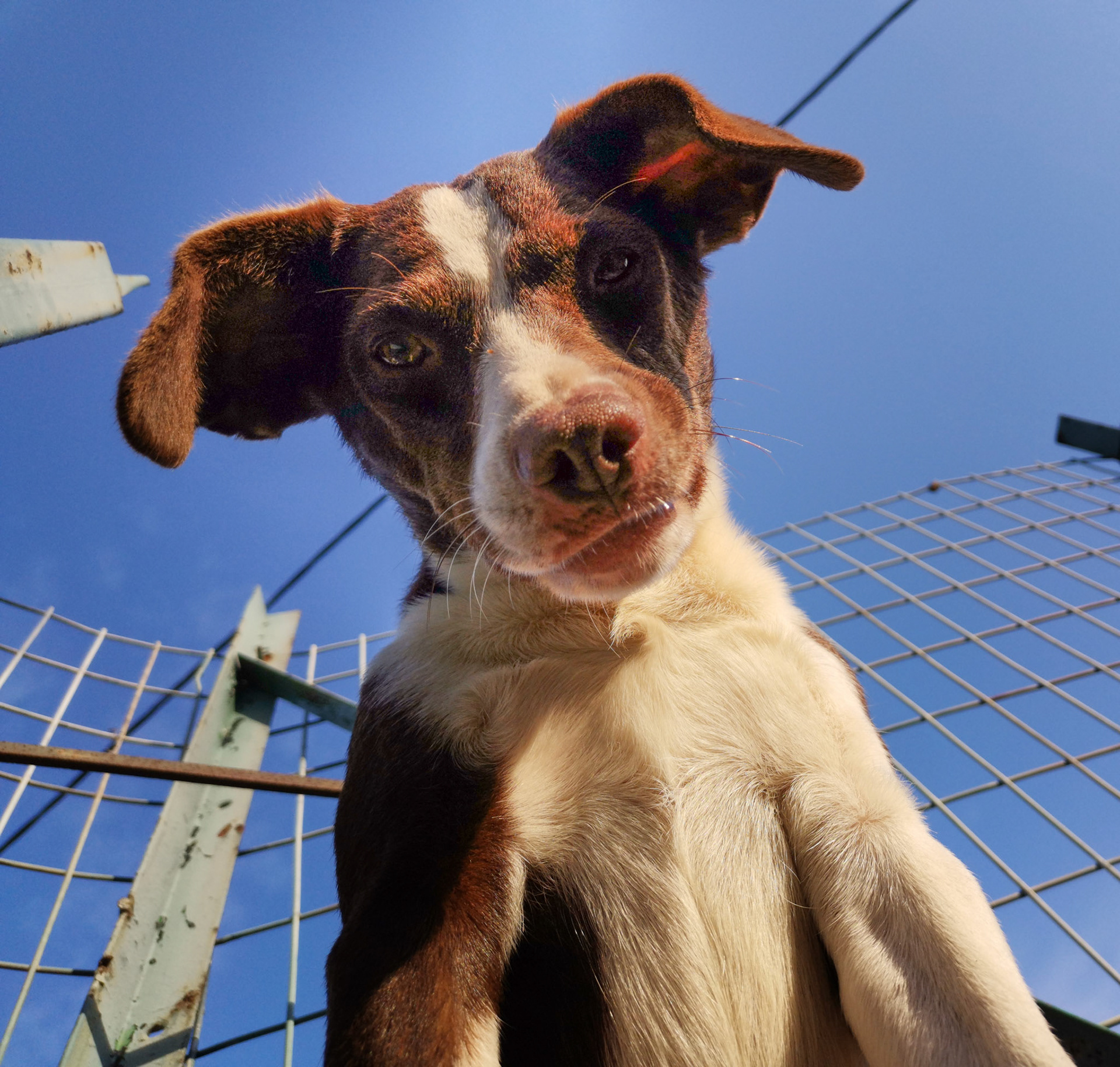 Taken with my Honor View 20