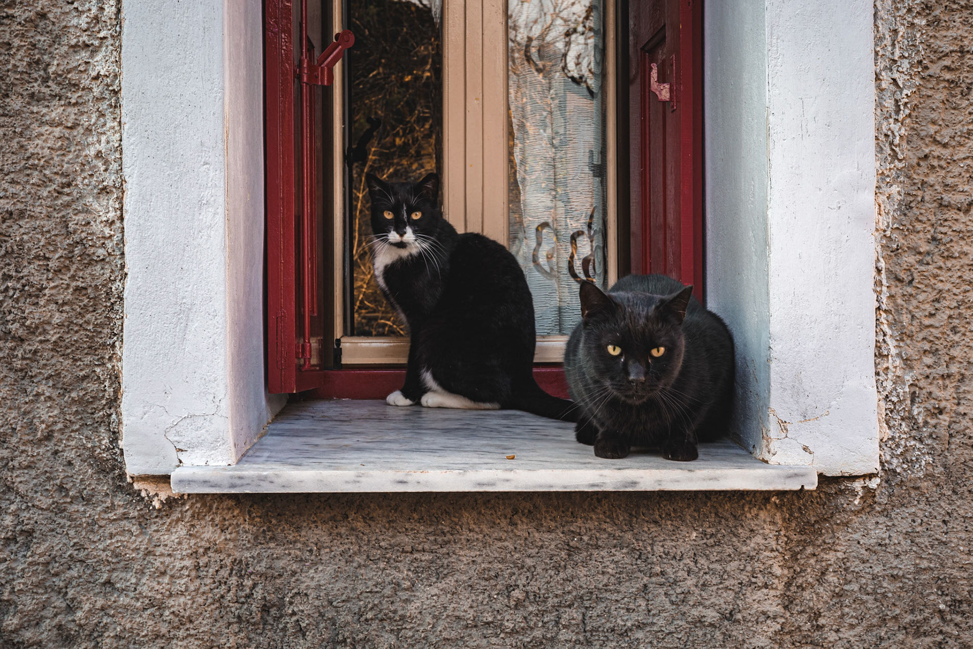 Taken with my Ricoh GR IIIx