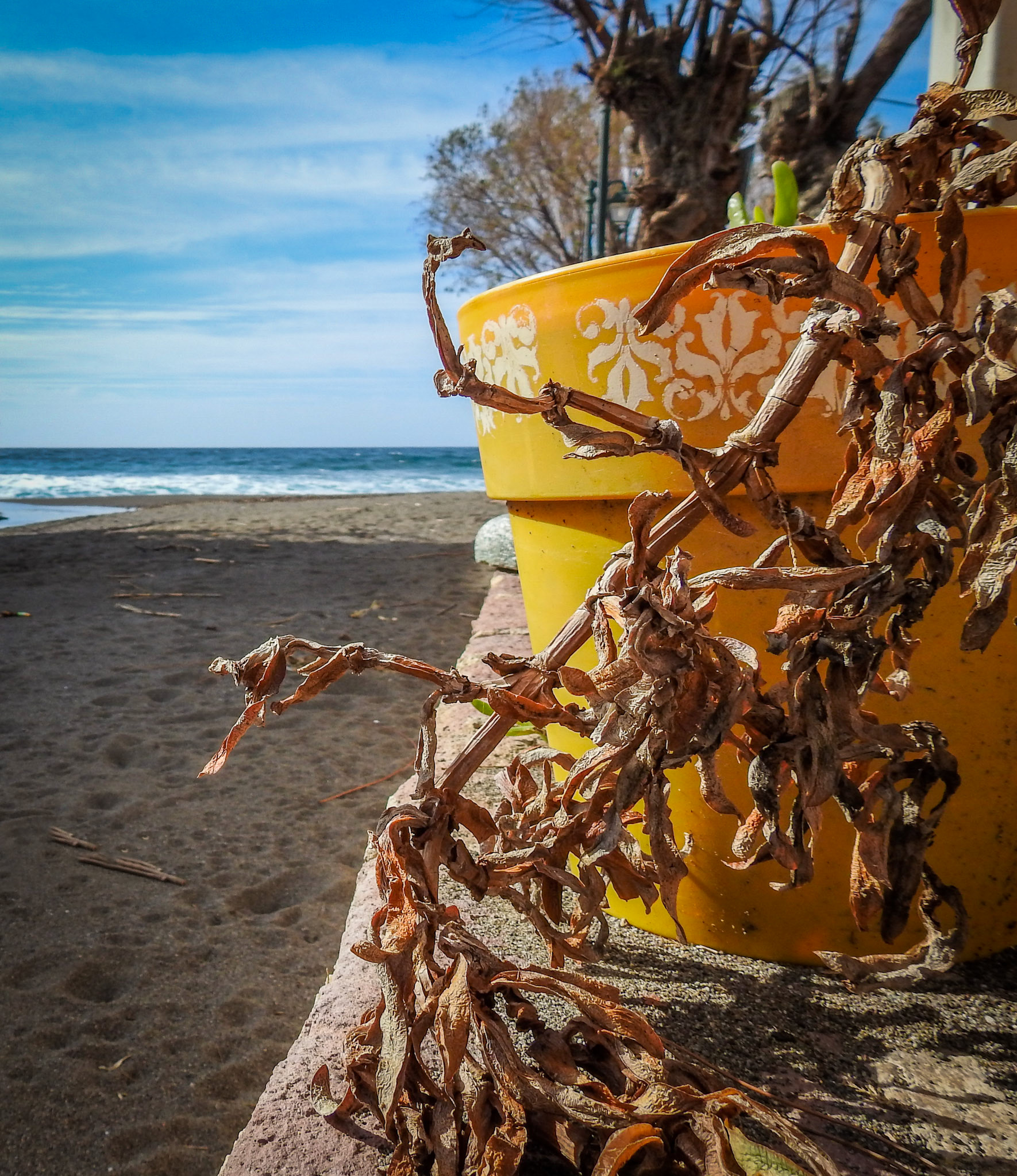 Taken with my Nikon Coolpix P900