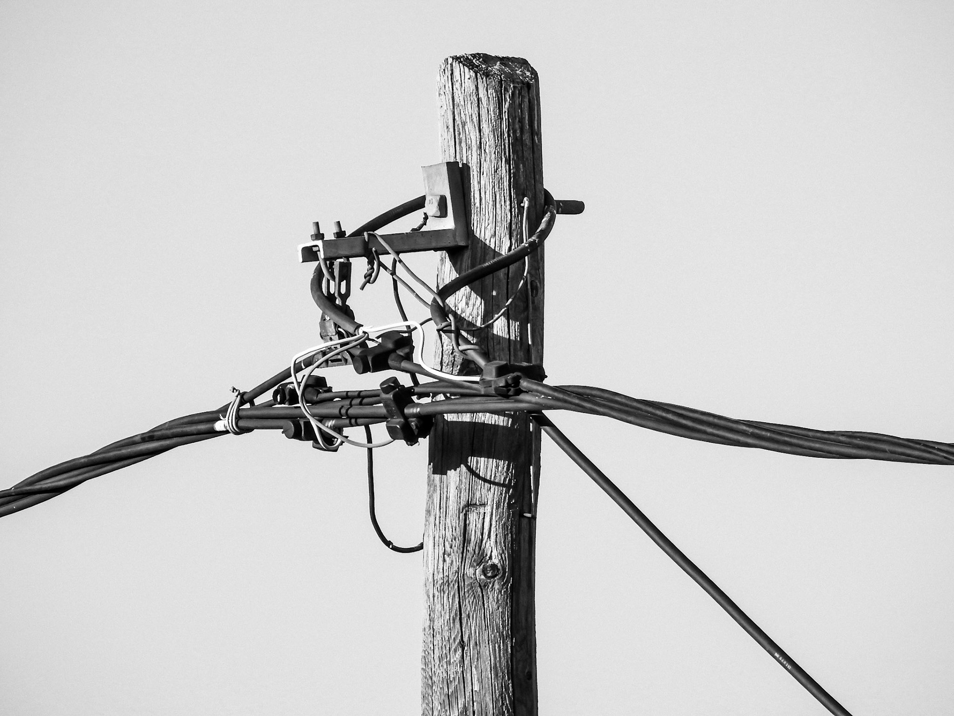 Taken with my Nikon Coolpix P900