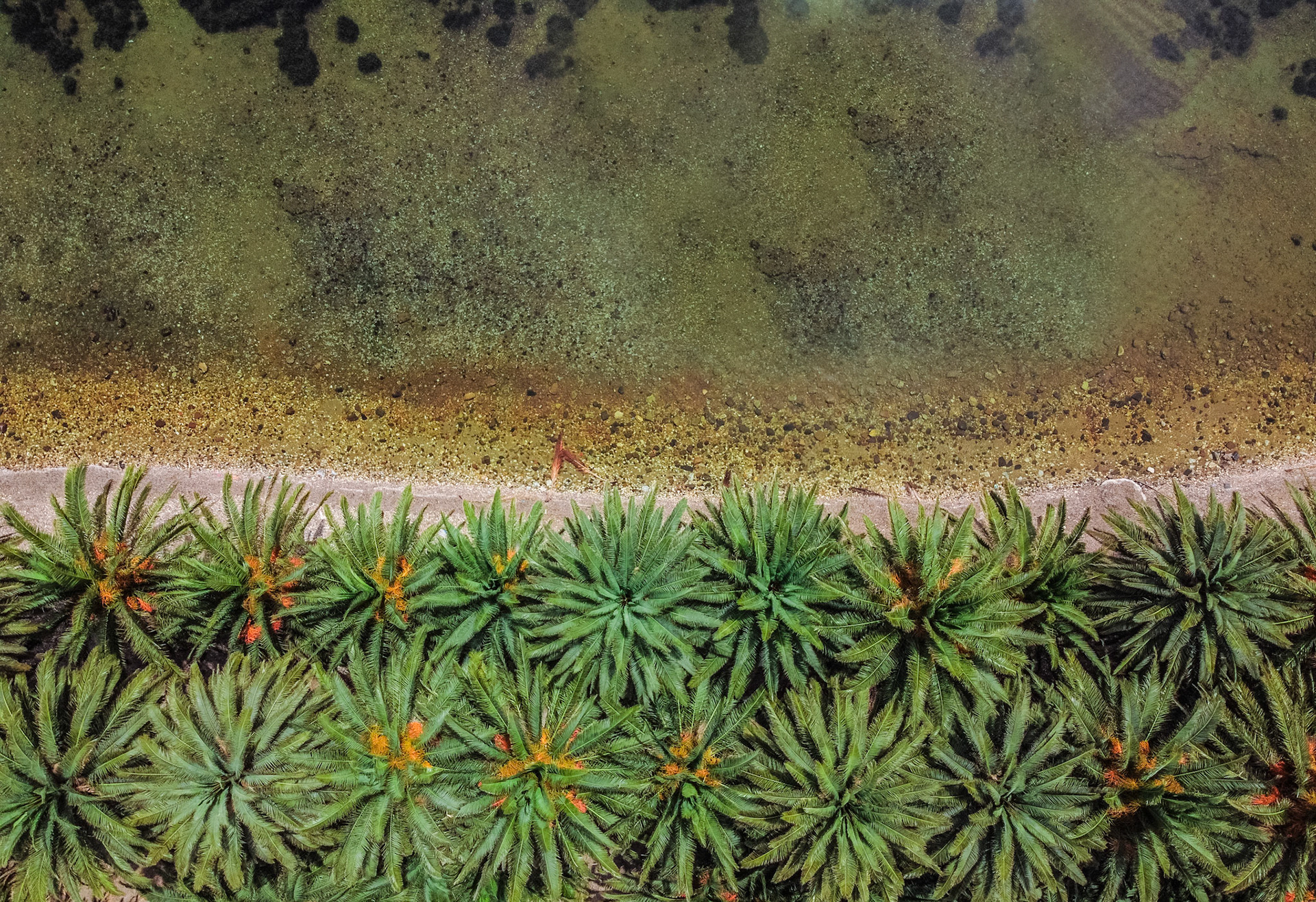 Taken with DJI Mavic Mini