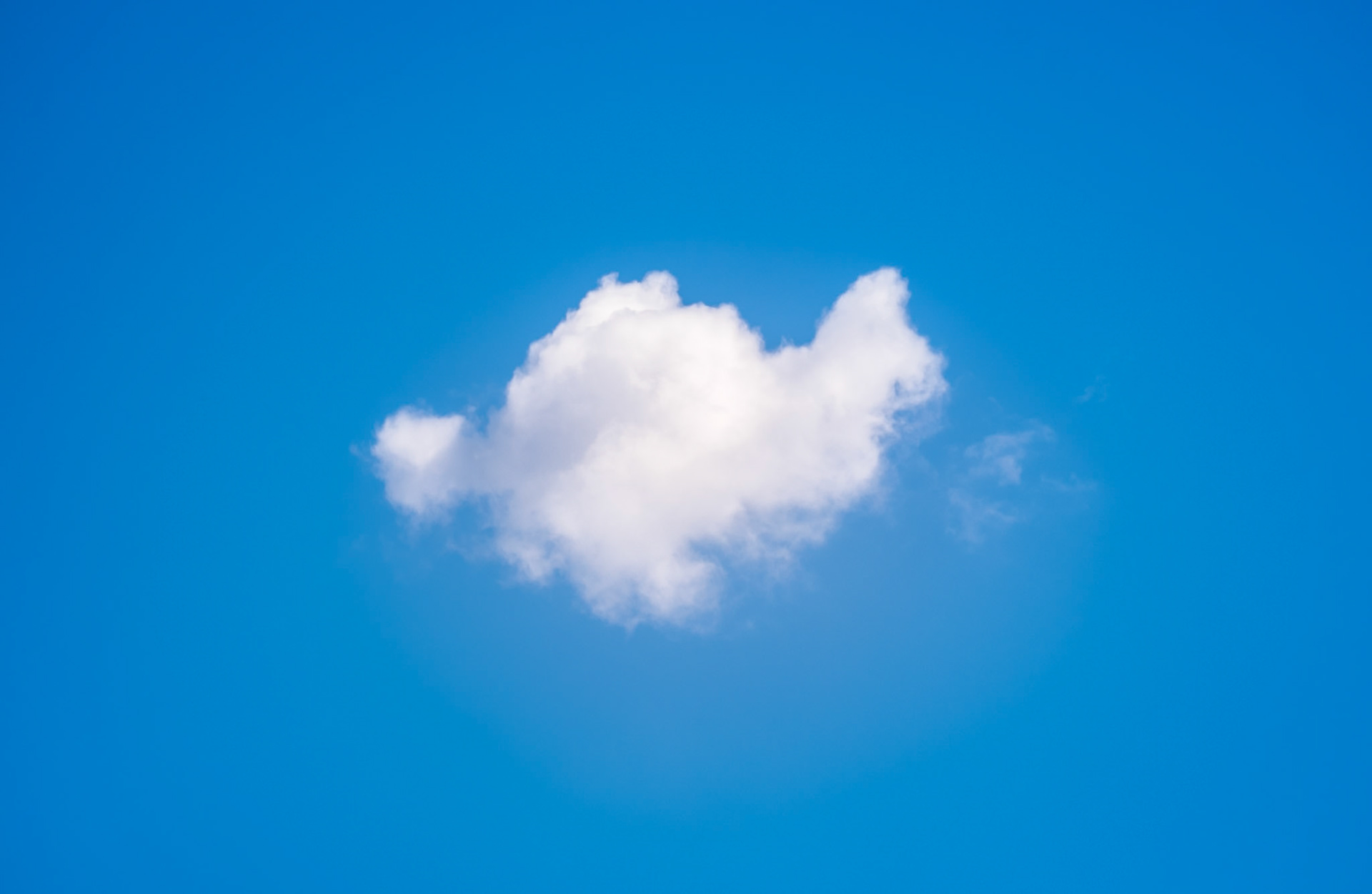 Like cotton candy that floats in the air! Taken with my Fujifilm X-T30 using the Fujinon XC 50-230mm F4.5-6.7 OIS II