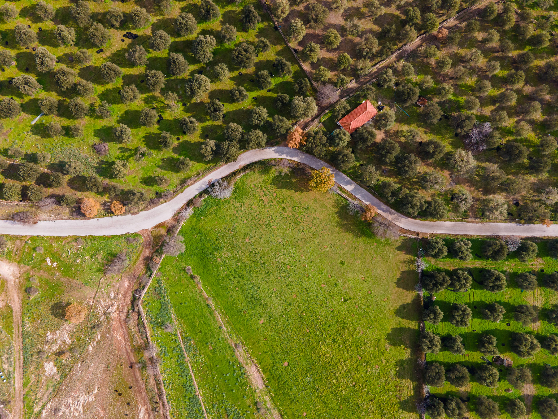 Taken with my DJI Mavic Air 2