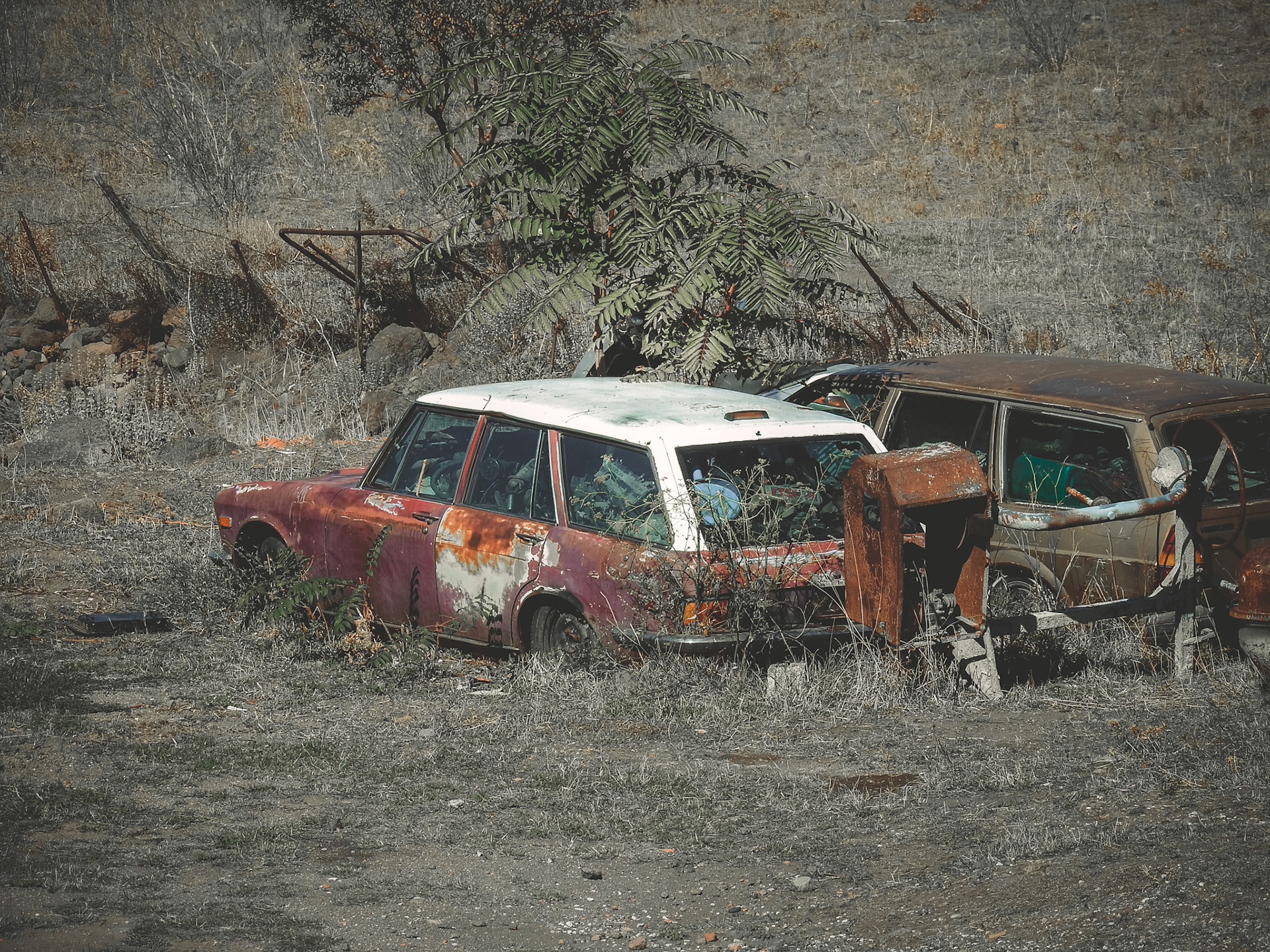 Taken with my Nikon Coolpix P900