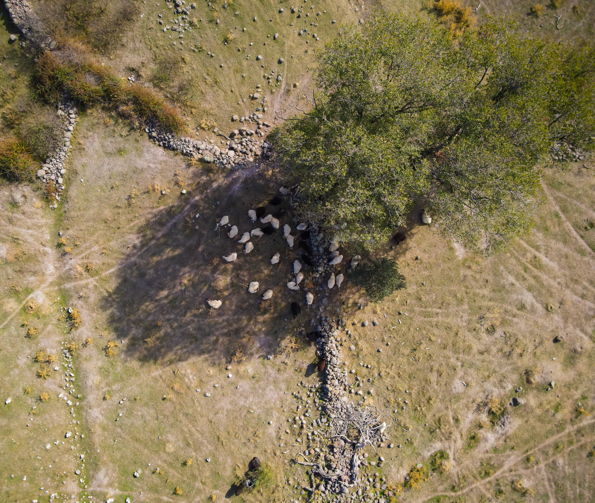 Taken with my DJI Mavic Air 2