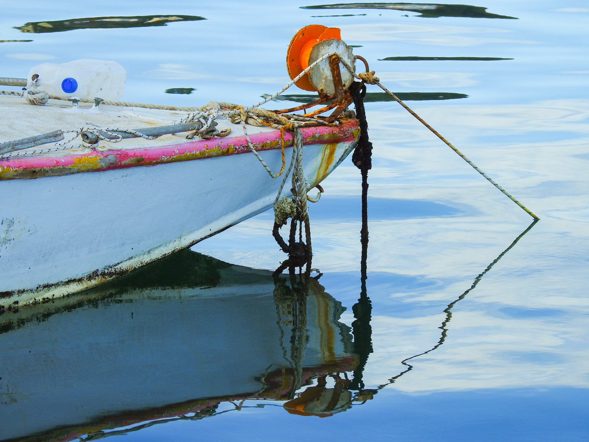 Taken with my Nikon Coolpix P900