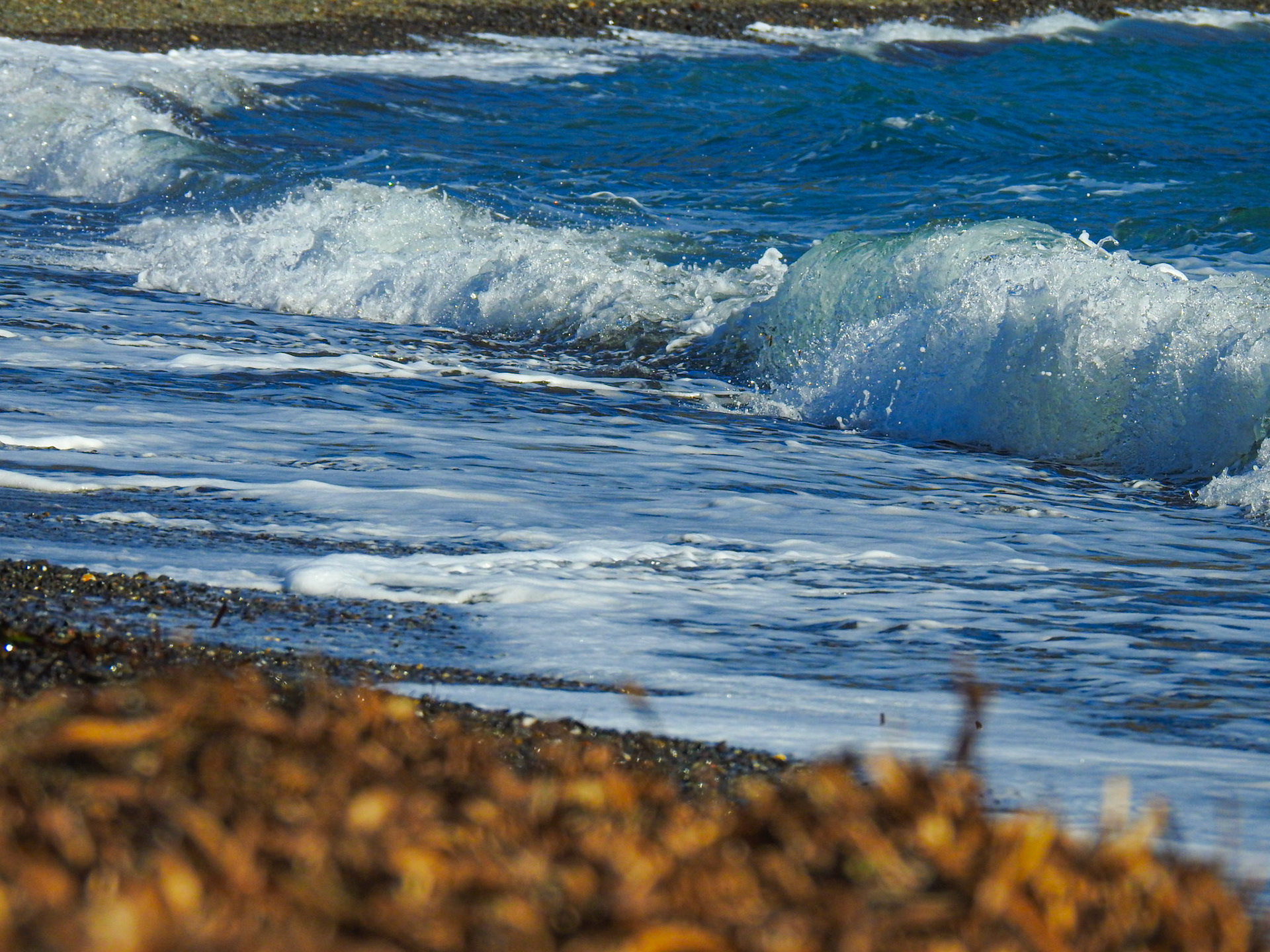 Taken with my Nikon Coolpix P900