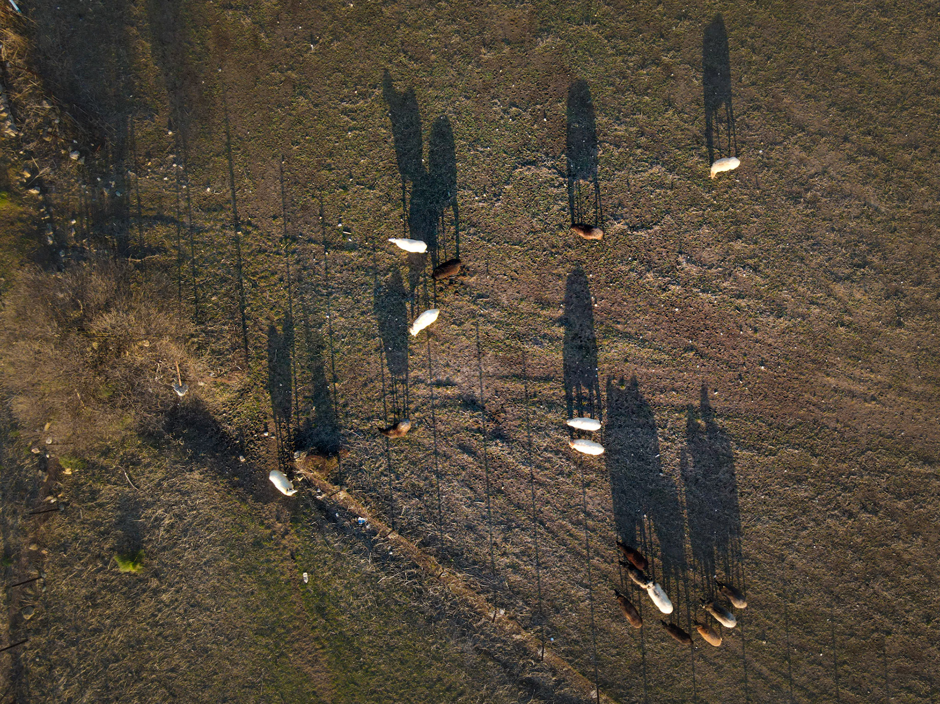 Taken with my DJI Mavic Air 2