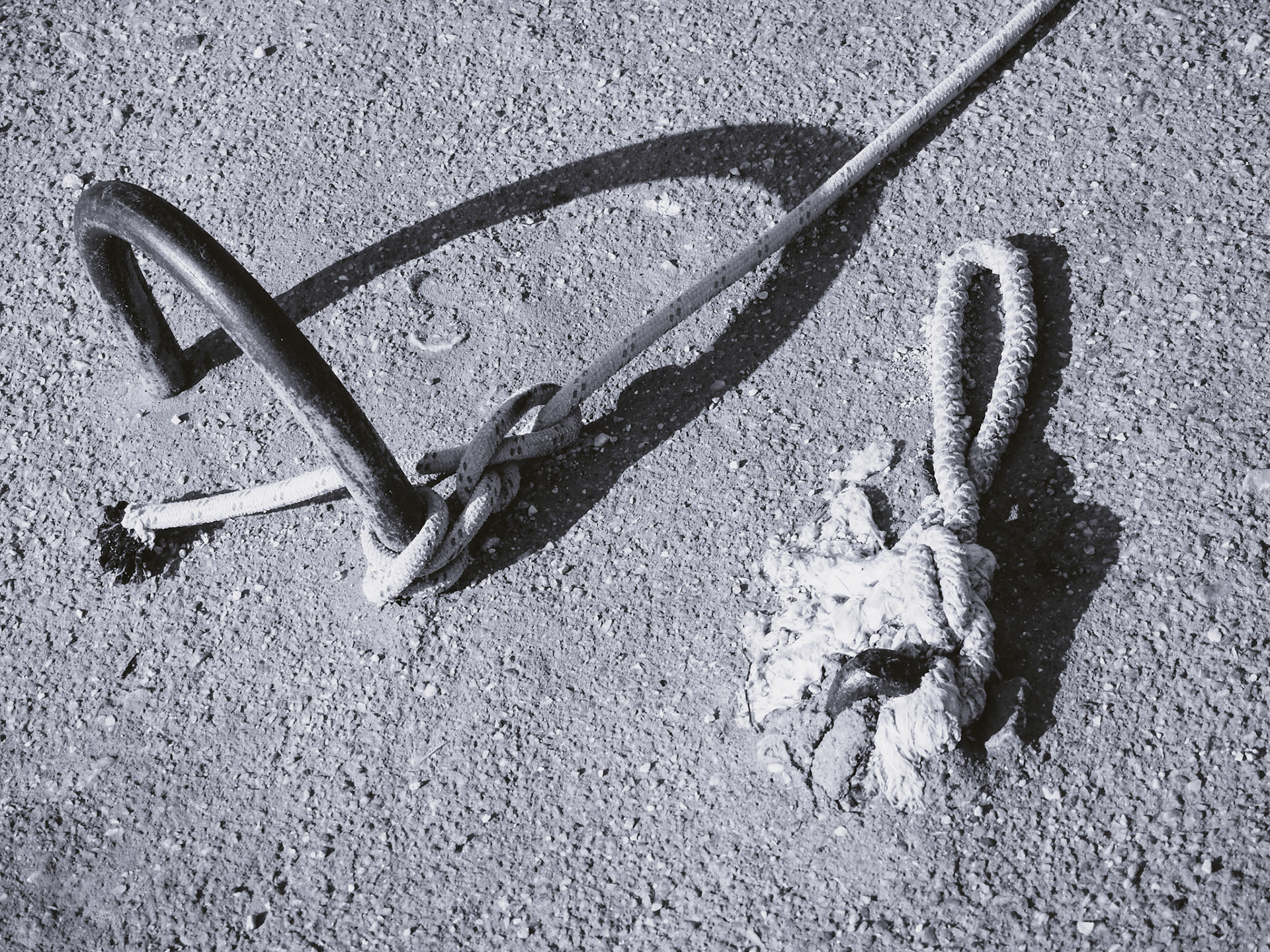 Taken with my Nikon Coolpix P900