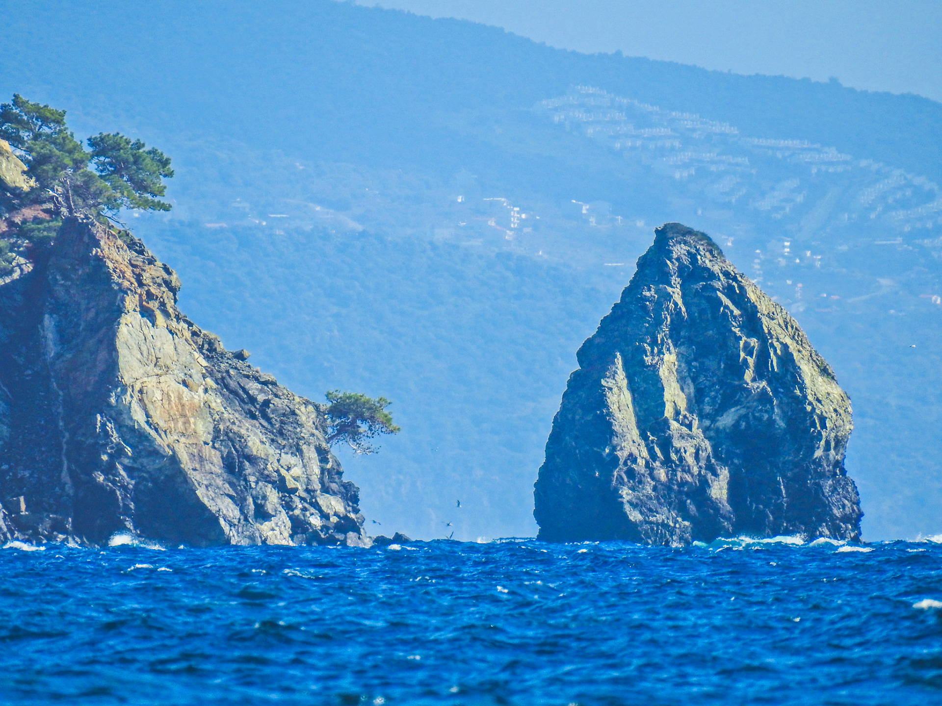 Taken with my Nikon Coolpix P900