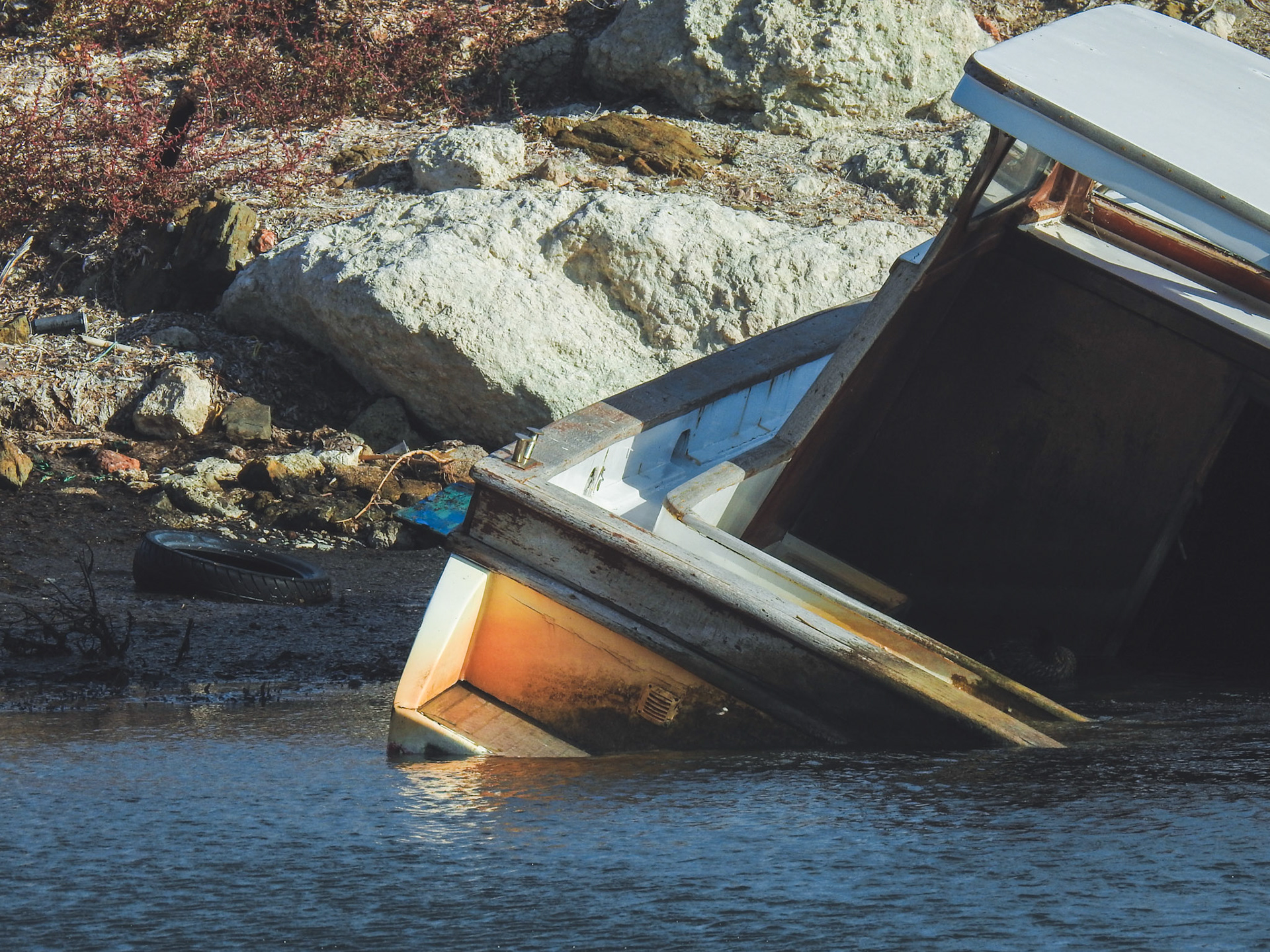 Taken with my Nikon Coolpix P900