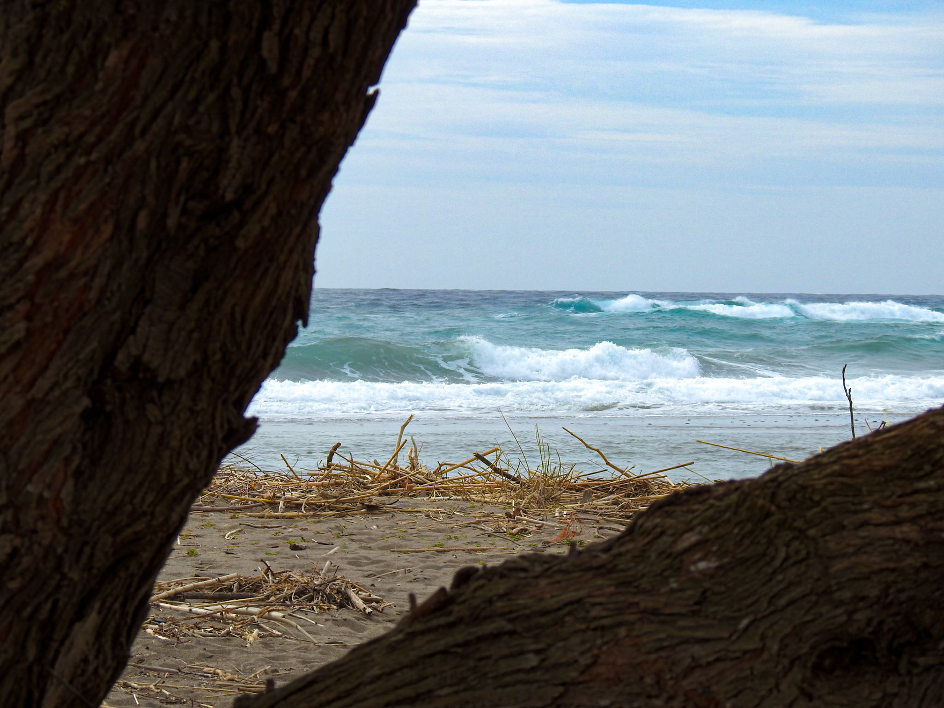 Taken with my Nikon Coolpix P900