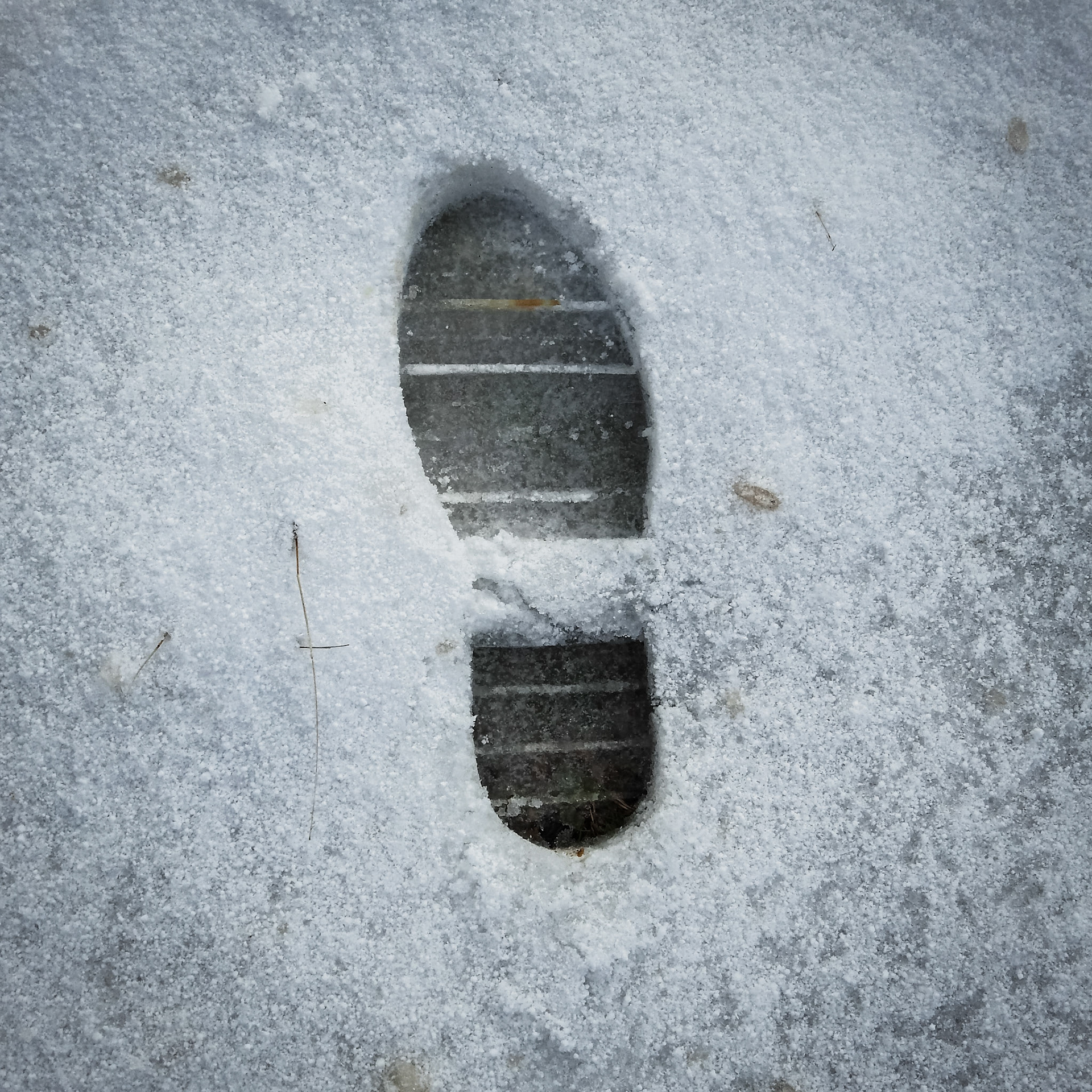 Taken with my Nikon Coolpix P900