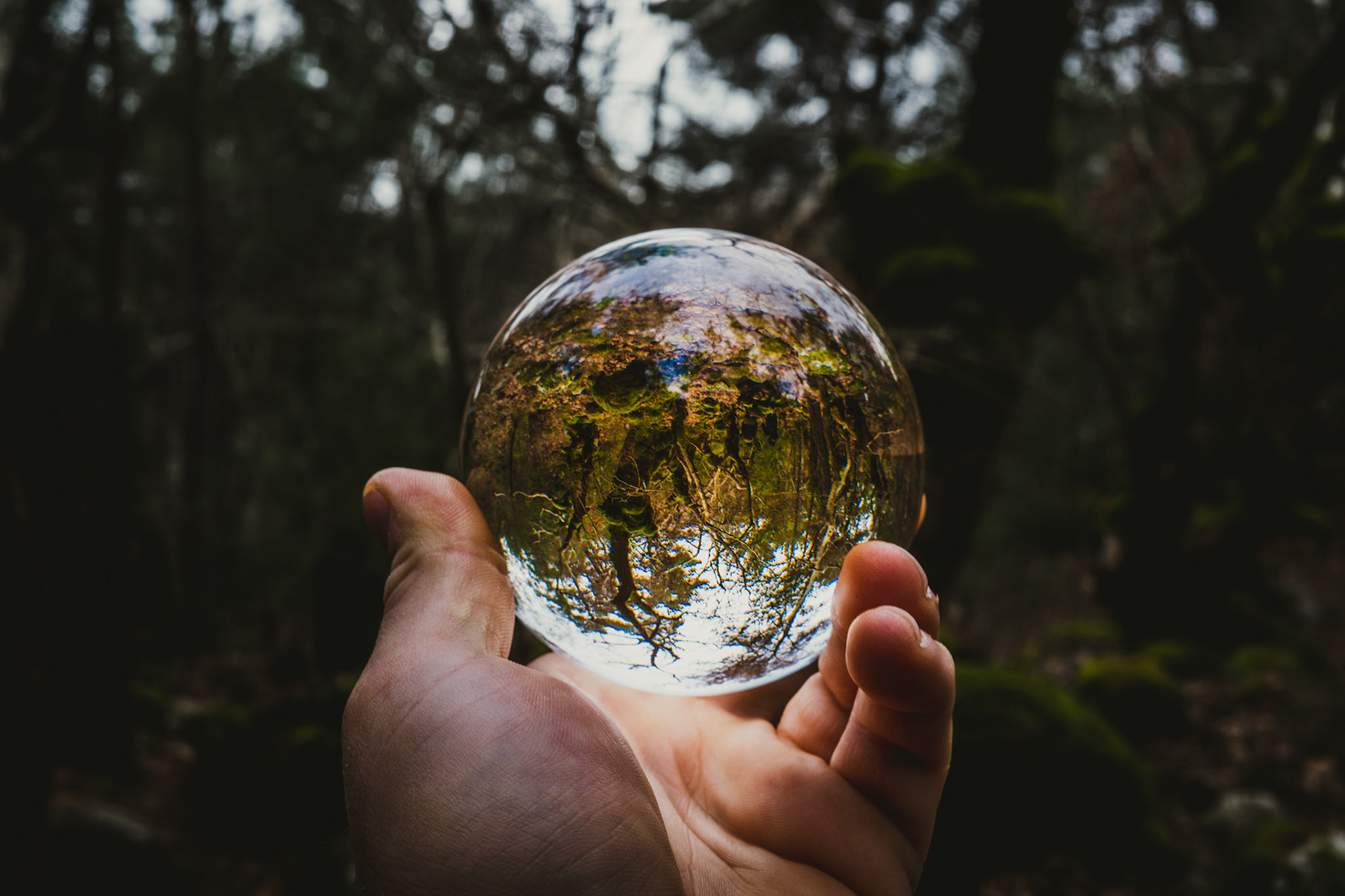 Taken with my Ricoh GR IIIx