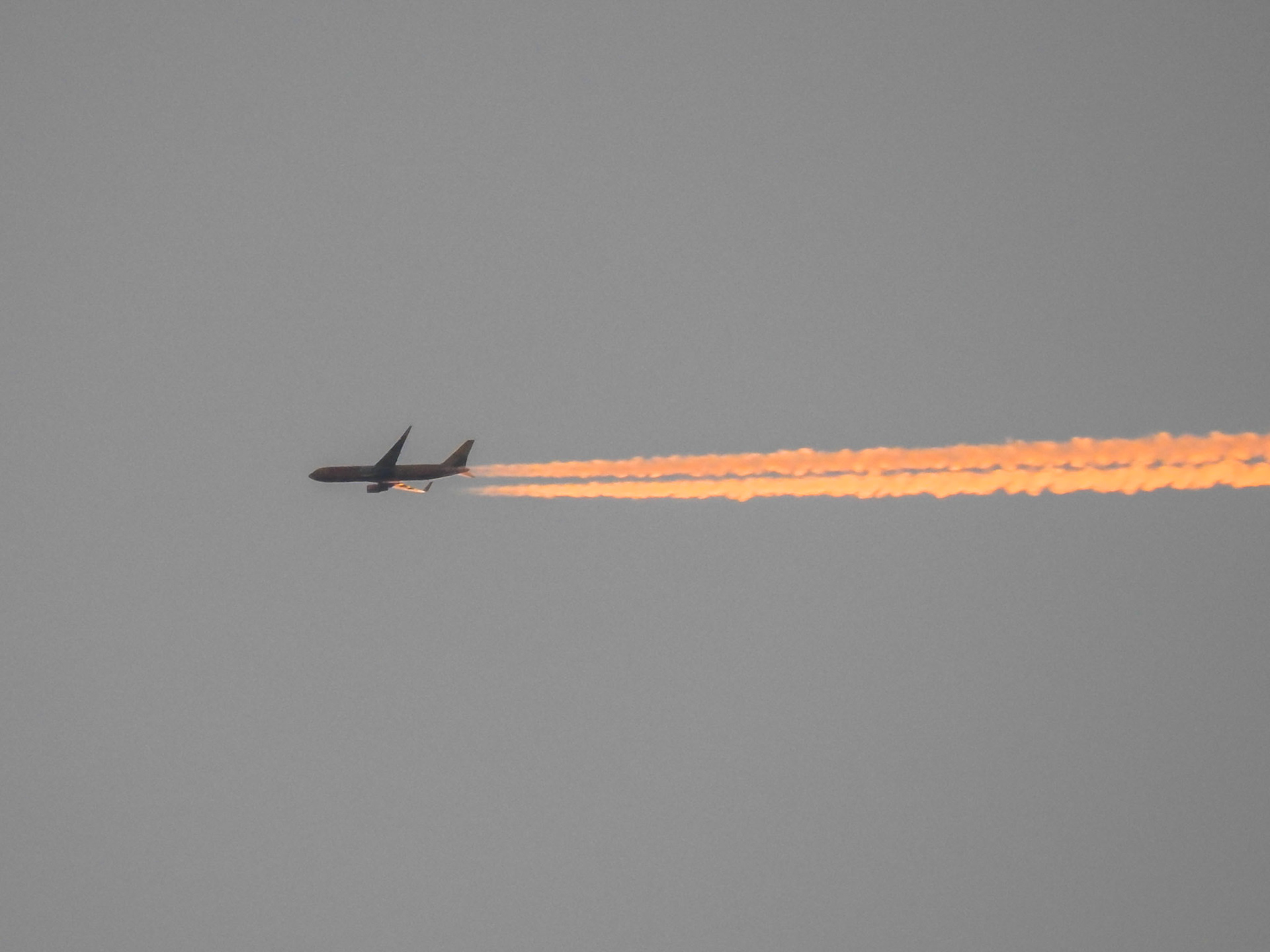 Taken with my Nikon Coolpix P900