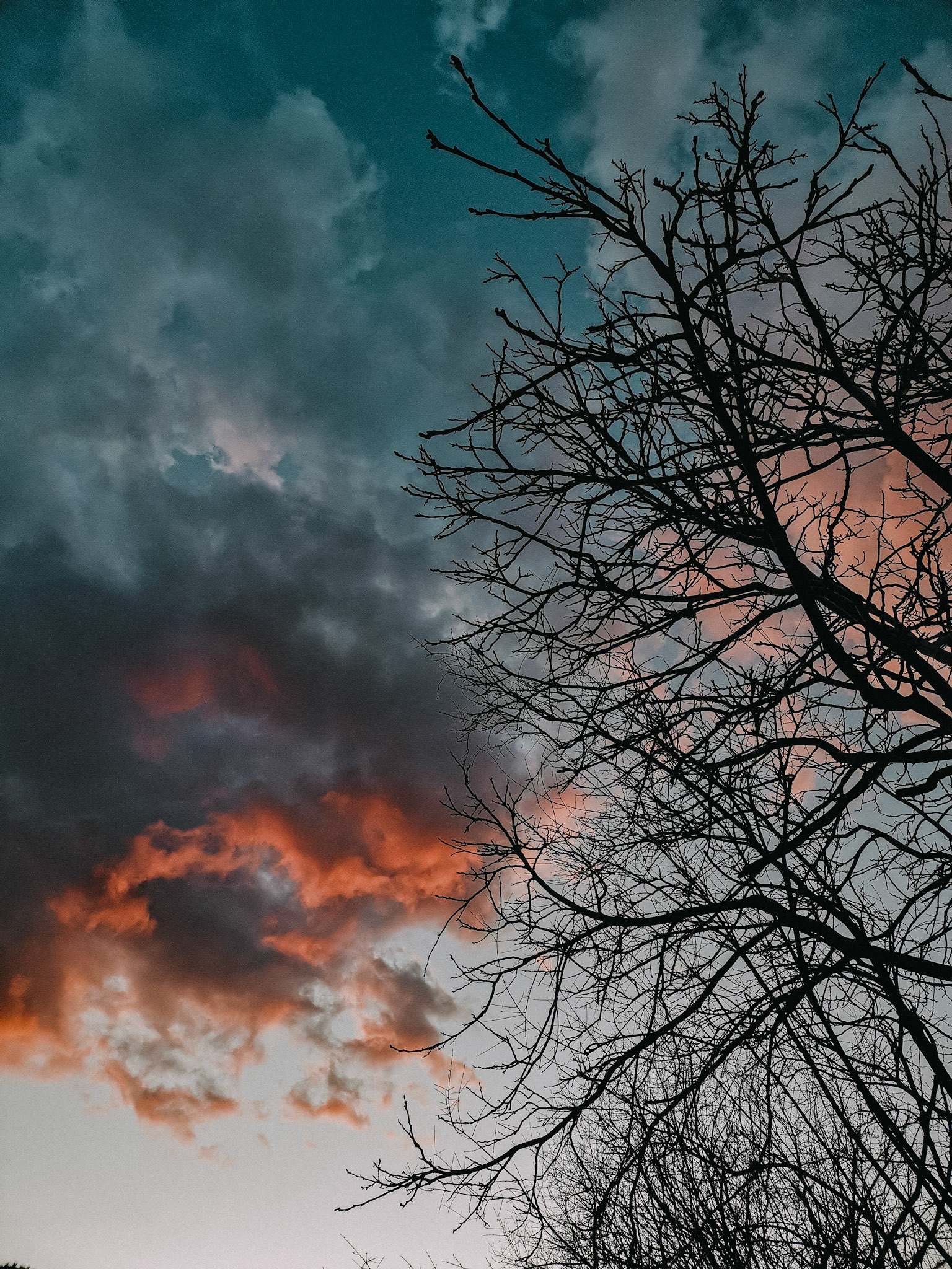 Taken with my Honor View 20