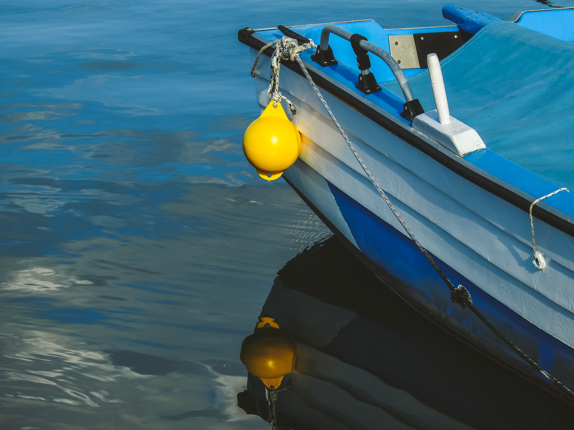 Taken with my Nikon Coolpix P900