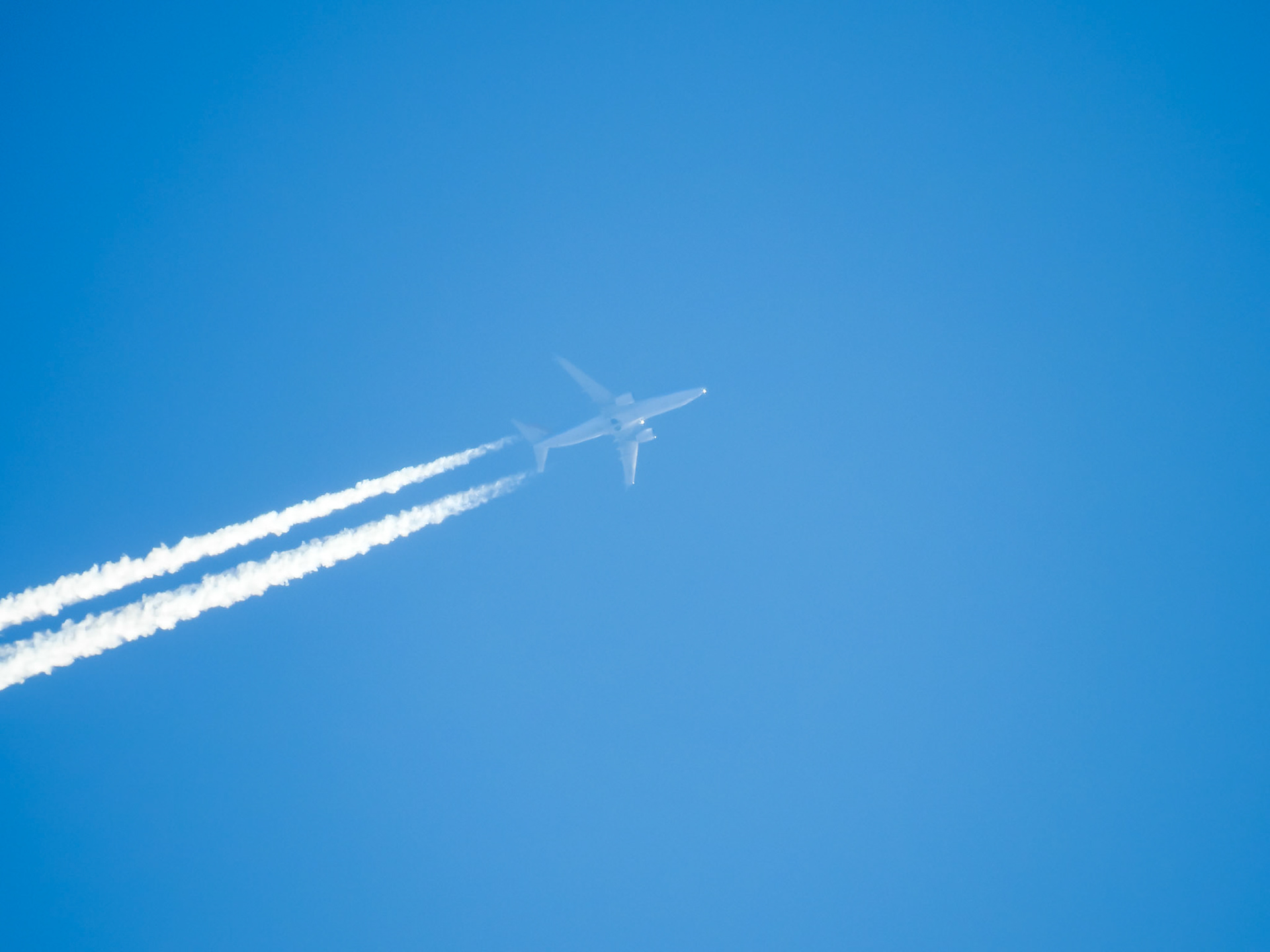 Taken with my Nikon Coolpix P900