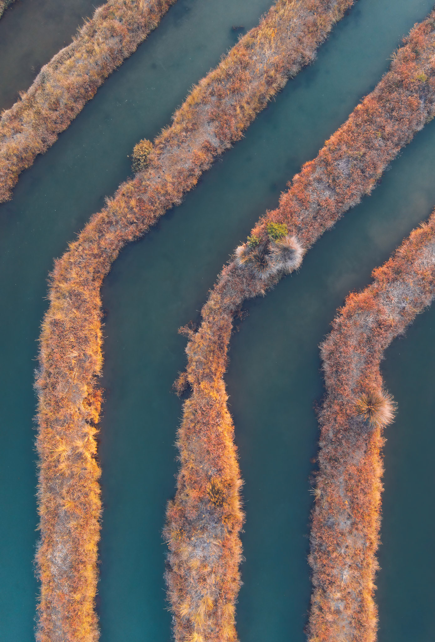 Taken with my DJI Mavic Air 2