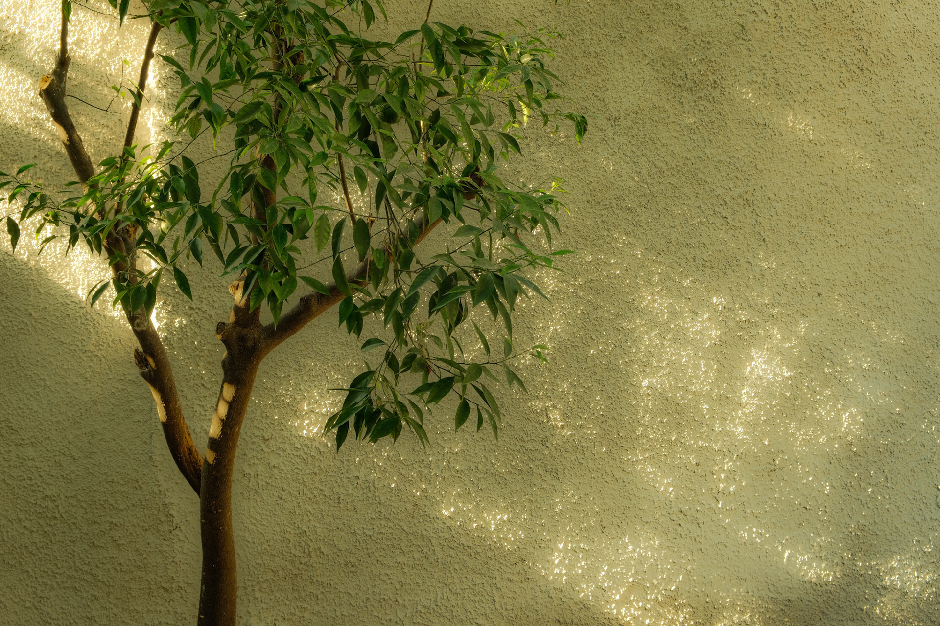 Taken with my Fujifilm X-T30 using the Fujinon XF18-55mmF2.8-4 R LM OIS