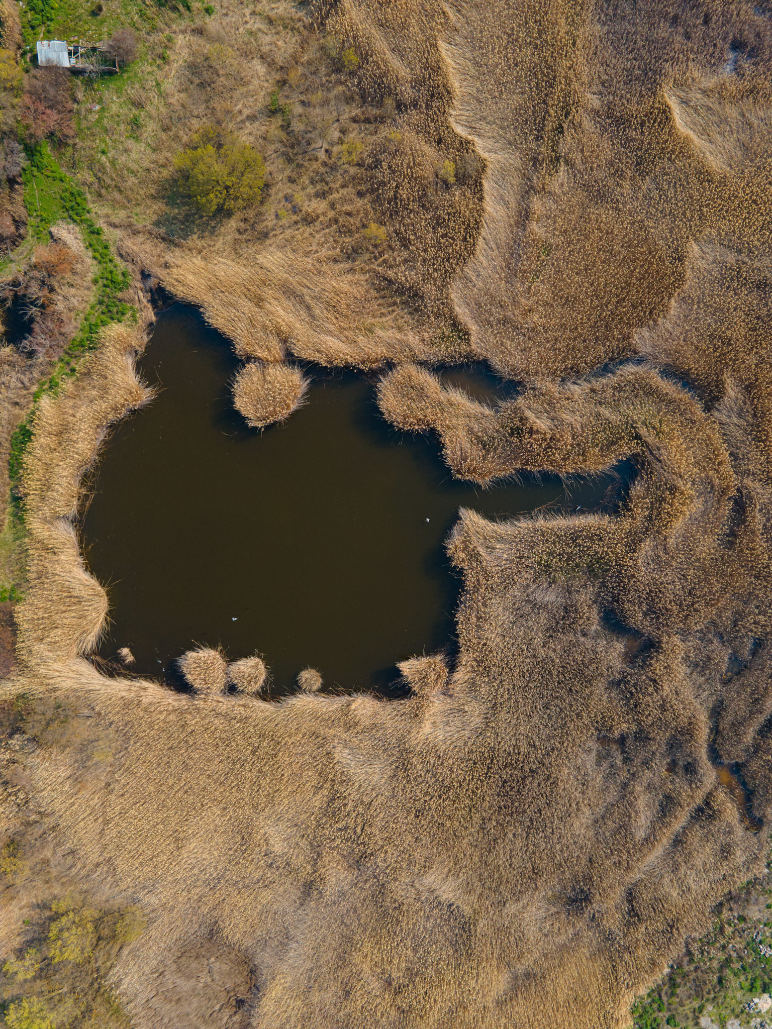 DJI Mavic Air 2